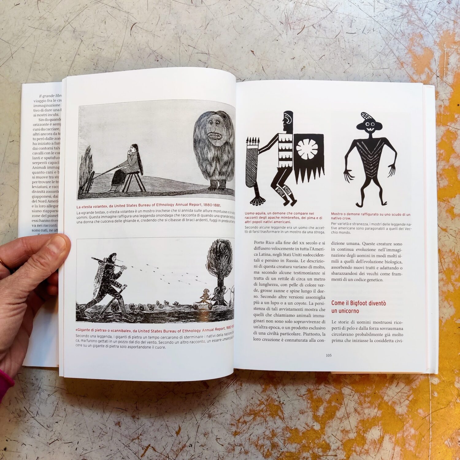 Il_grande_libro_degli_animali_immaginari8