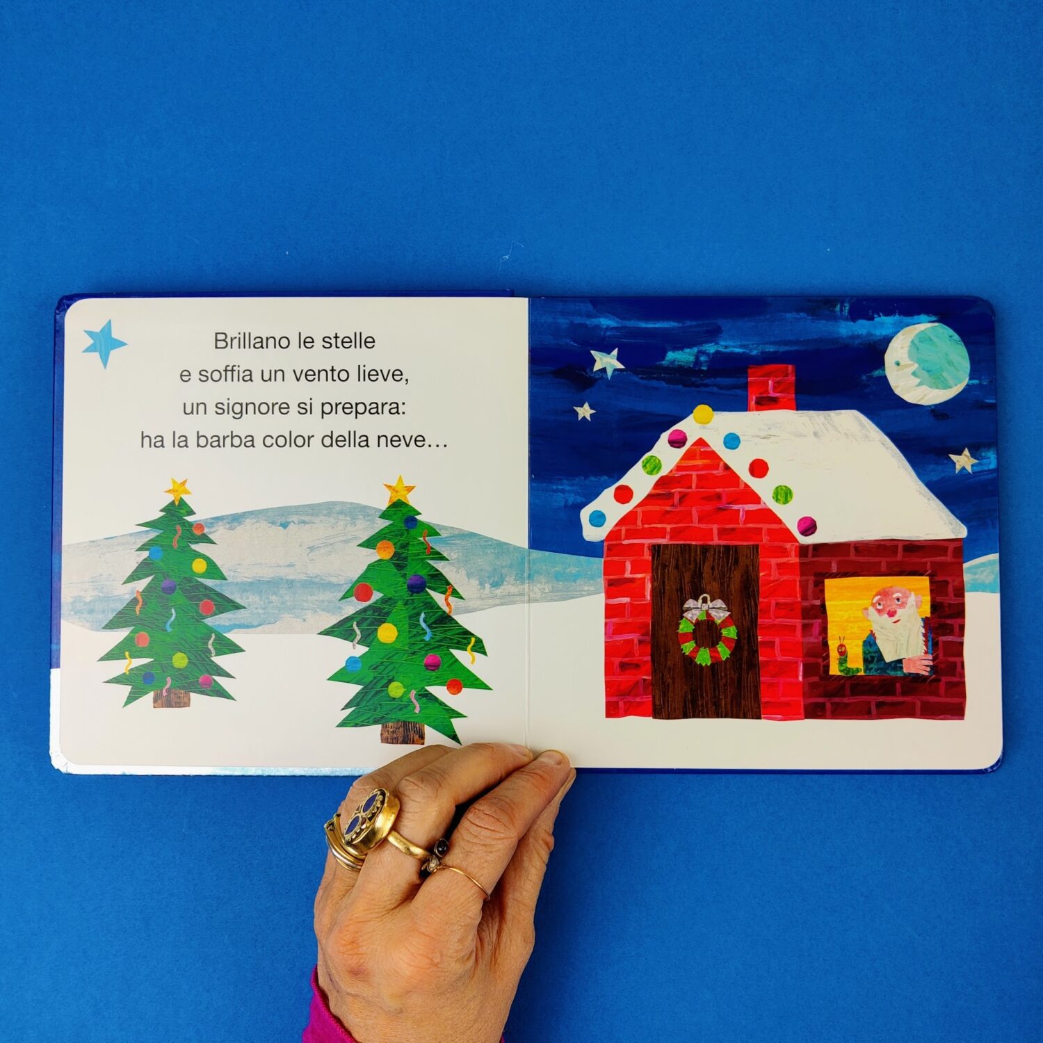 Il_piccolo_bruco_maisazio_e_babbo_natale2