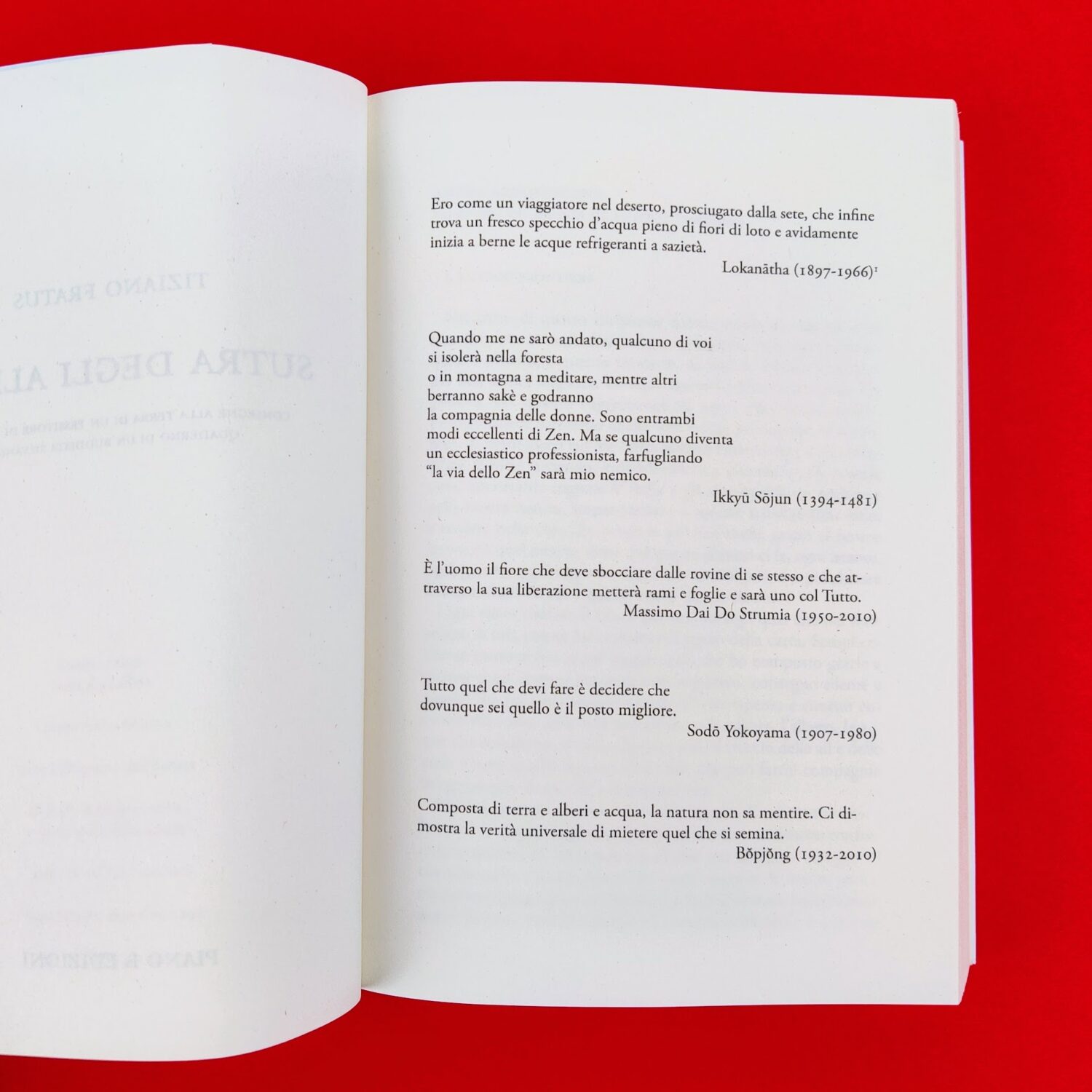 Sutra_degli_alberi2