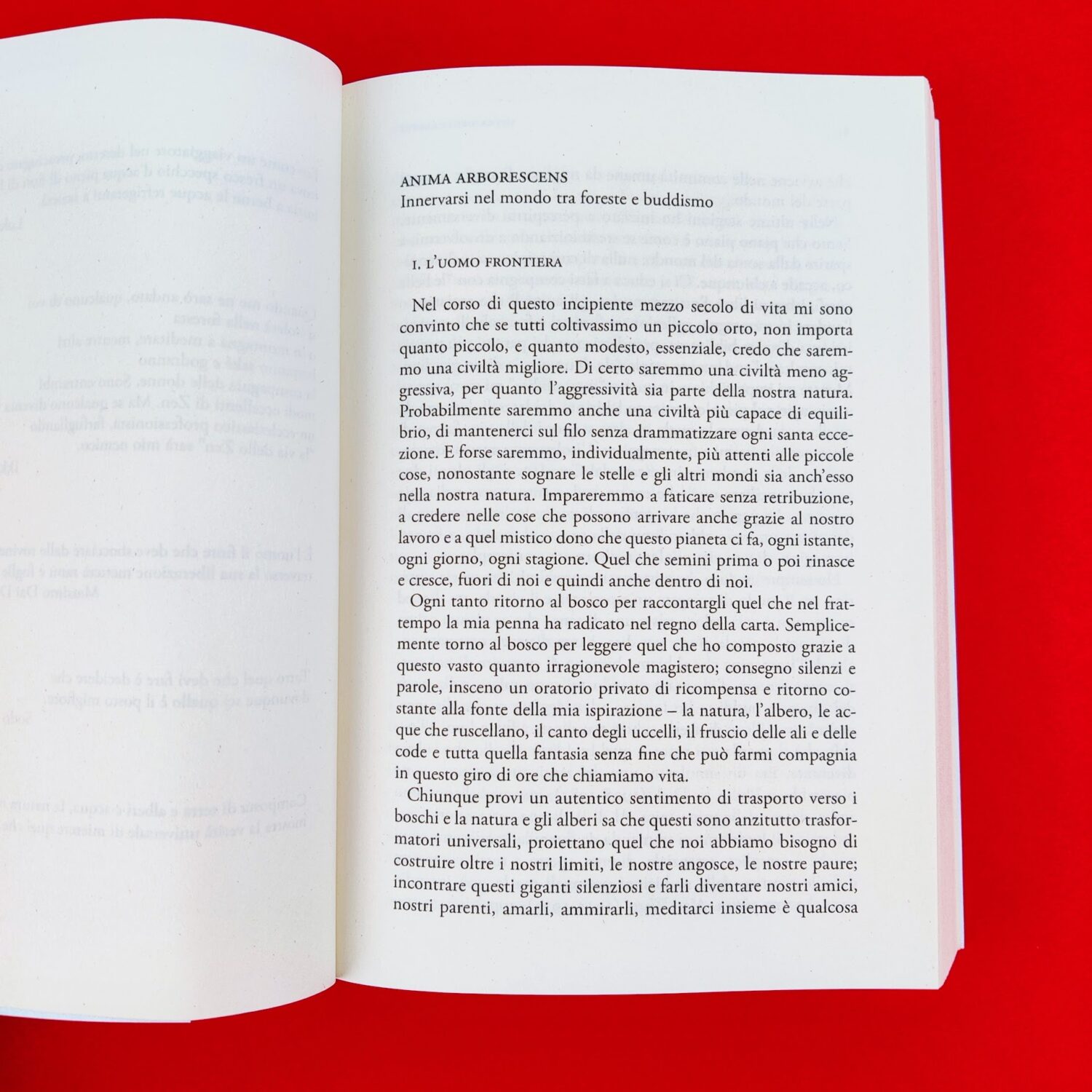 Sutra_degli_alberi3
