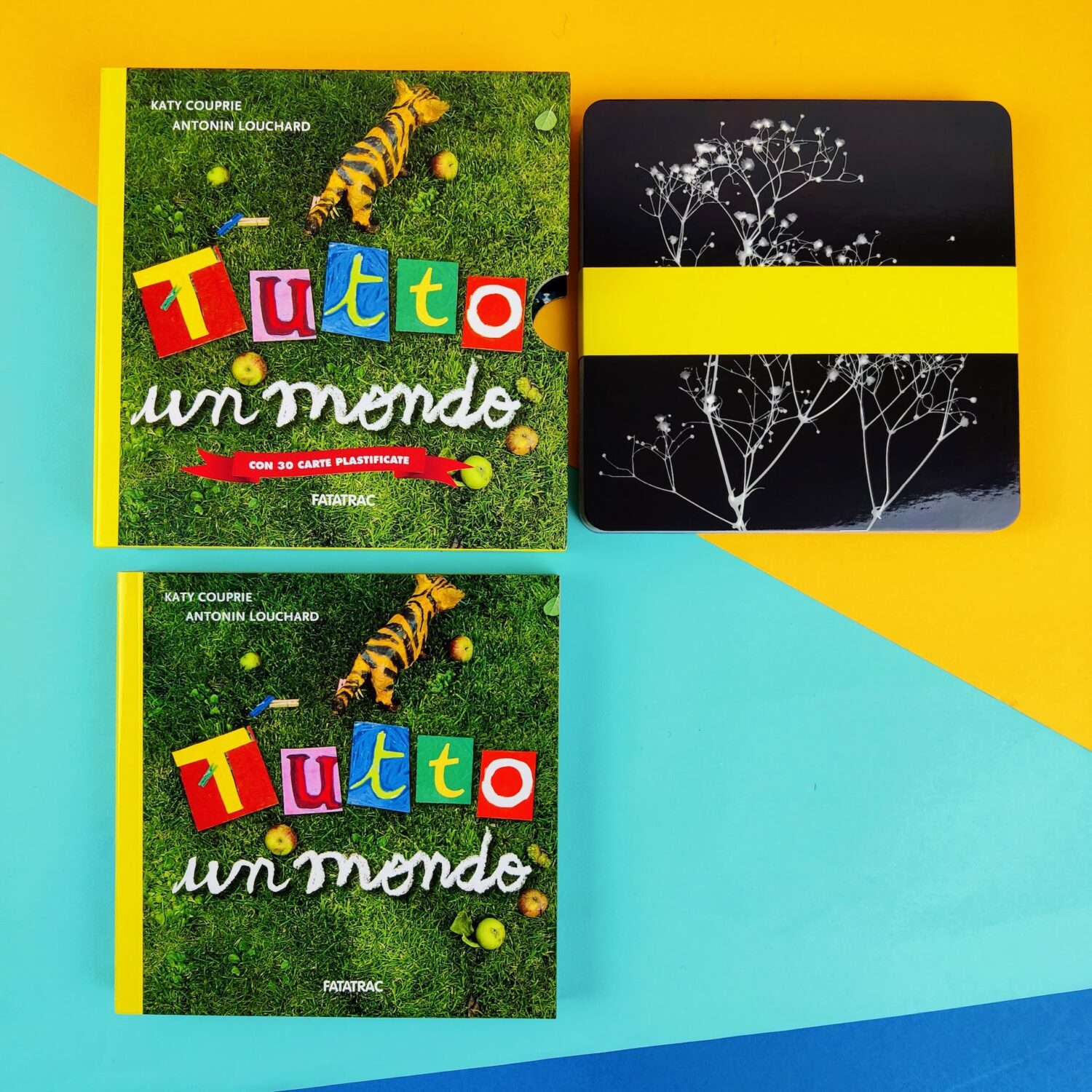 Tutto_un_mondo2