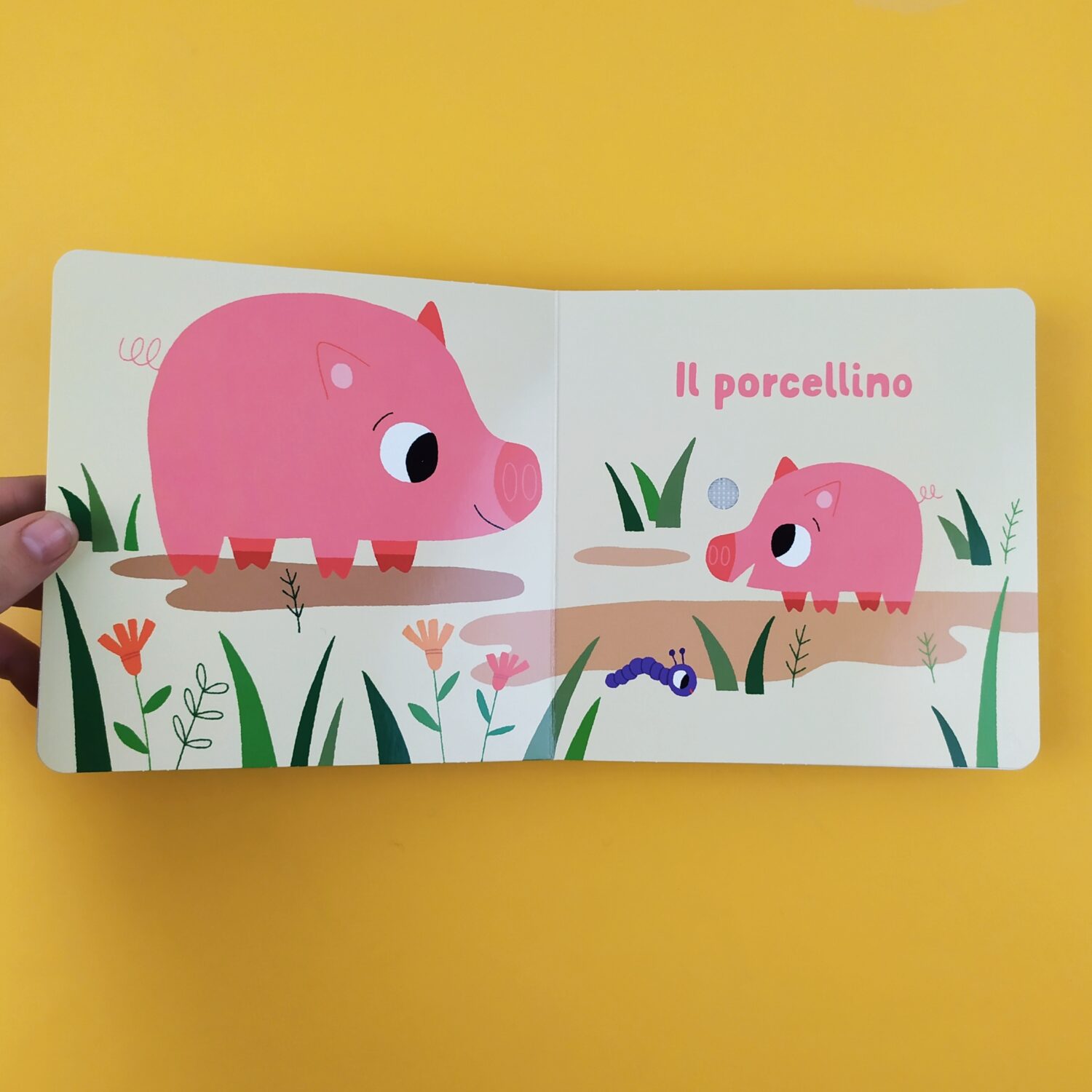 cuccioli_sonoro2