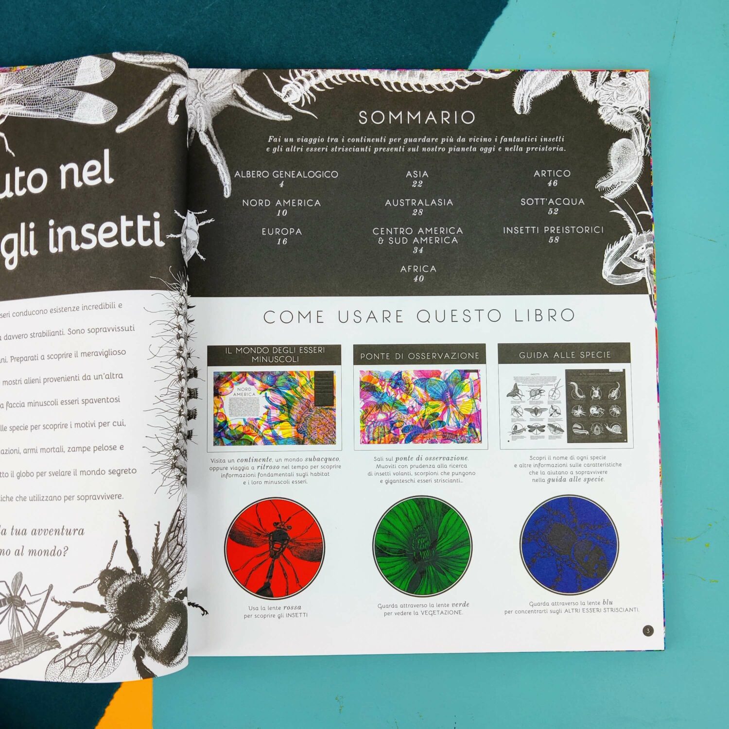 insetti&co3