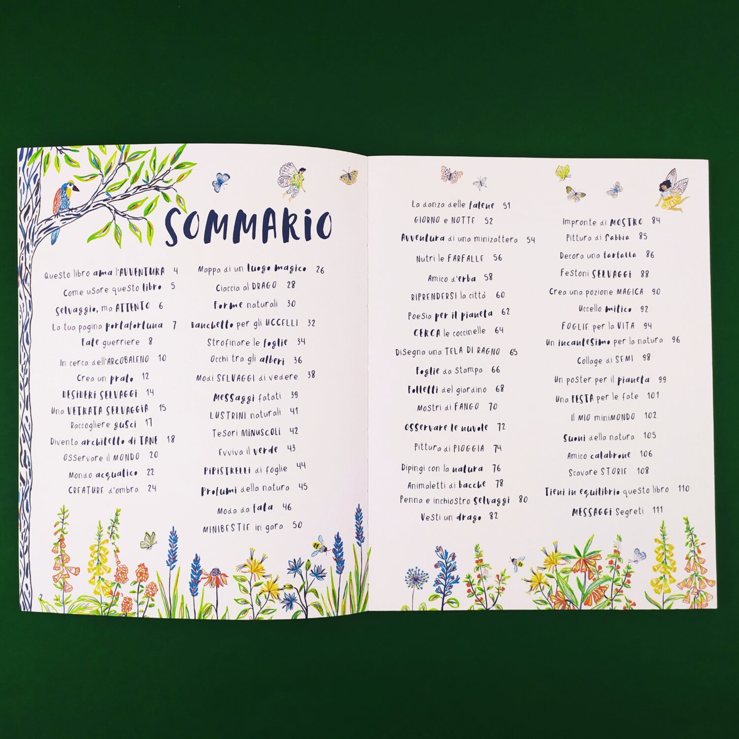 libro_selvaggio2