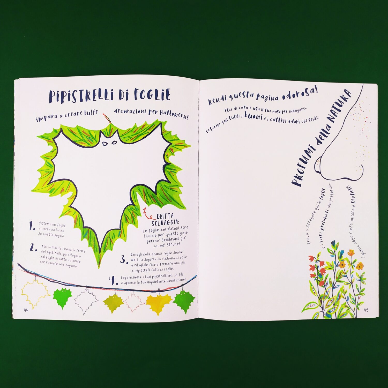 libro_selvaggio3