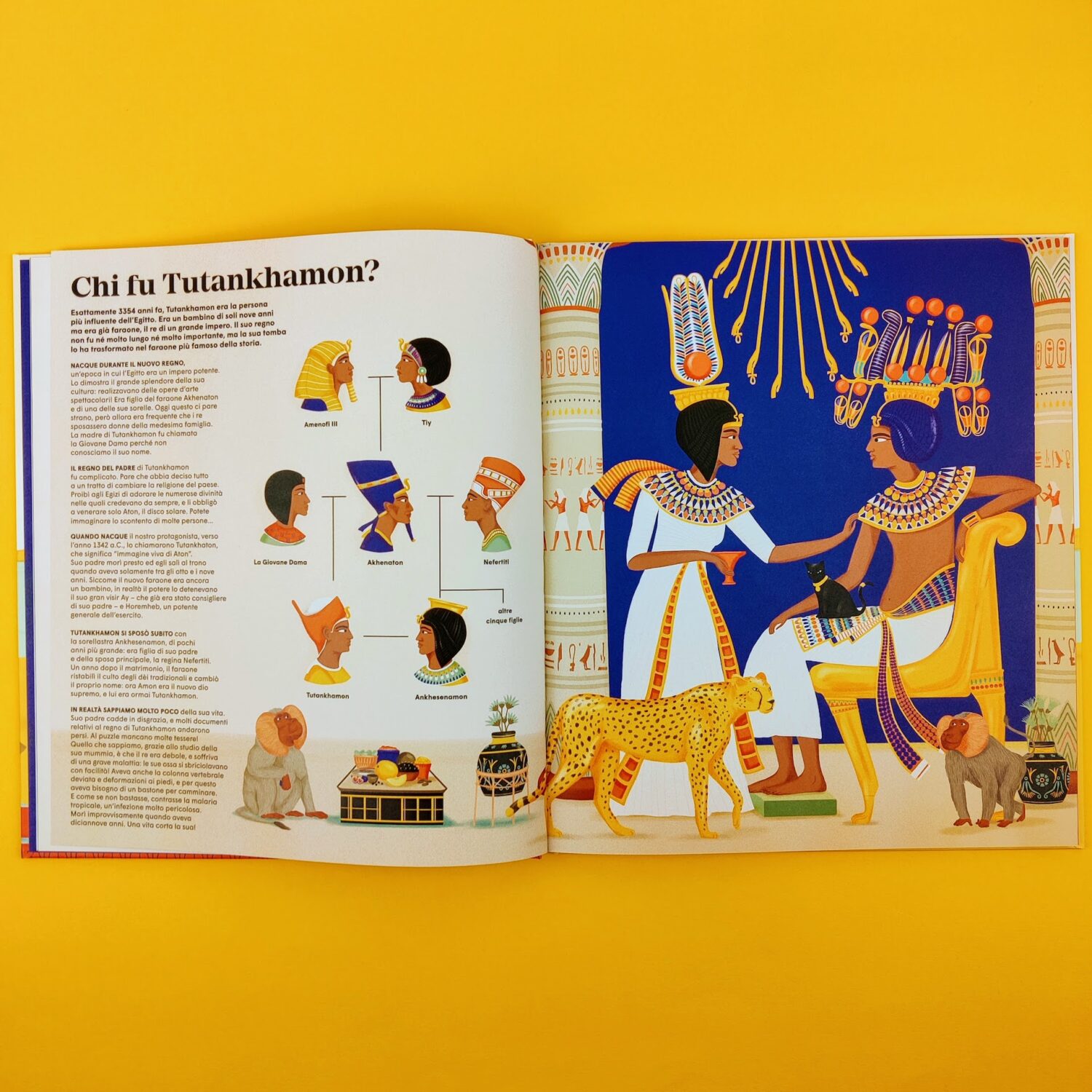 tutankhamon2