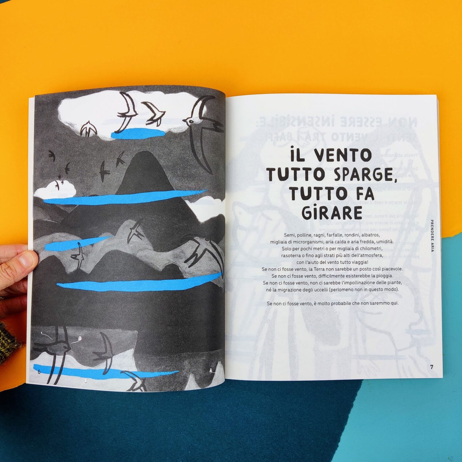 Prendere_il_sole_prendere_aria11