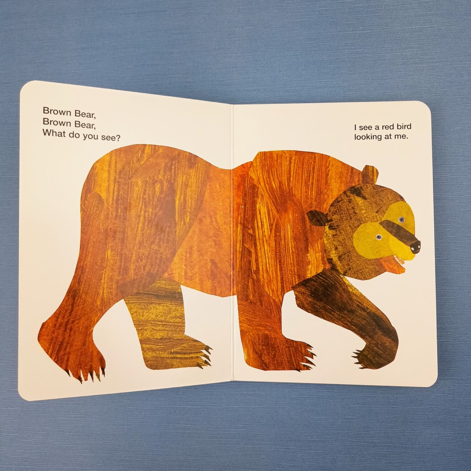 Brown_bear2