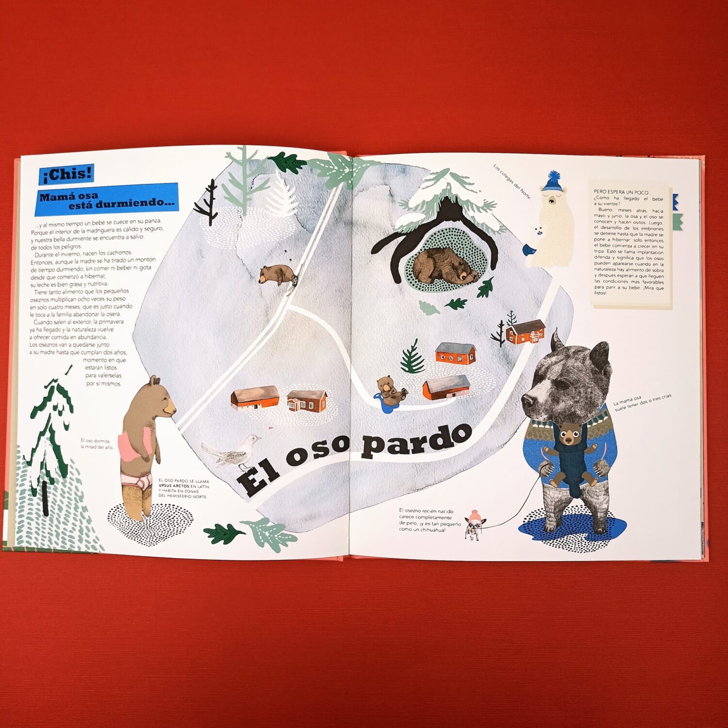 La_fabrica_de_bebés2