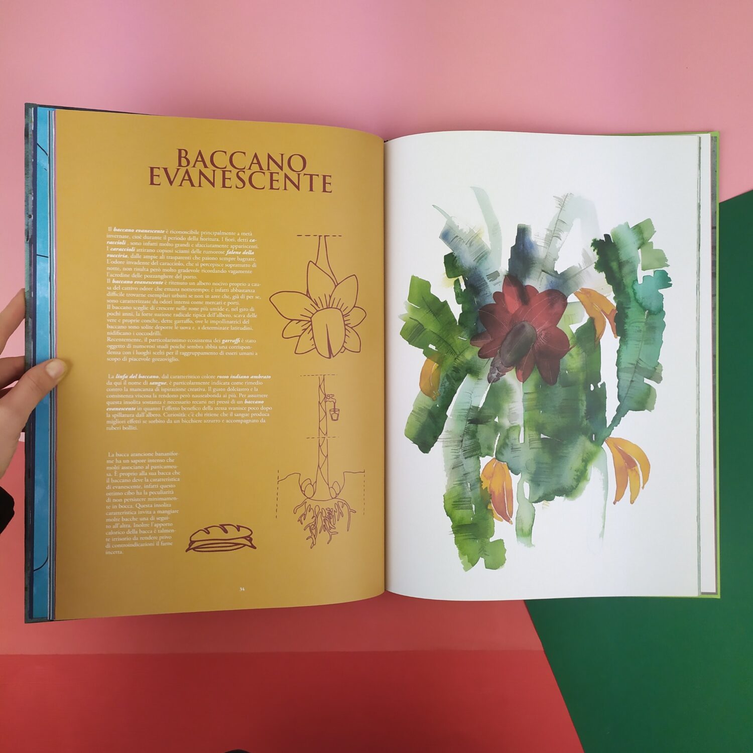 botanica_fantastica2(1)