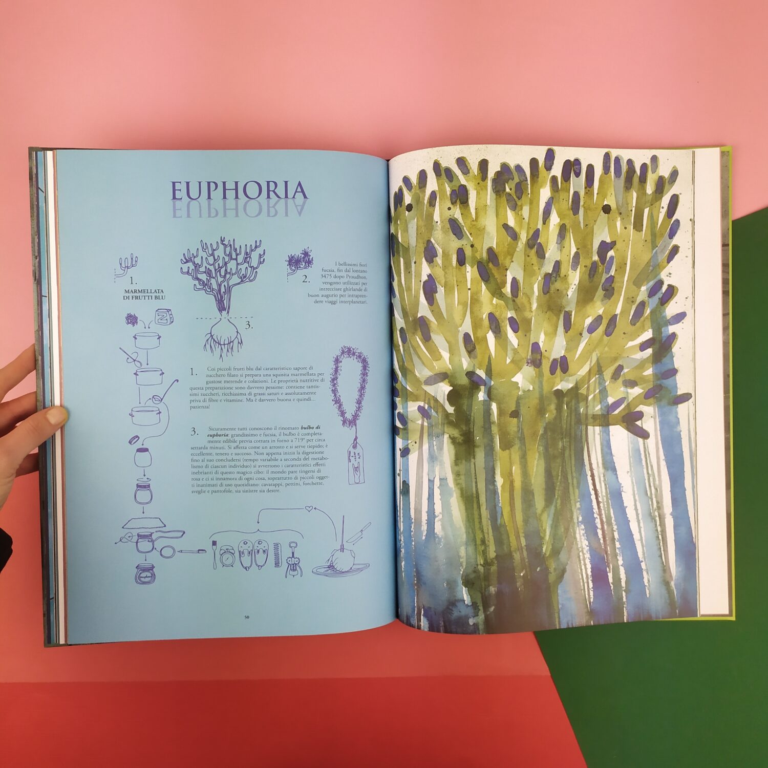 botanica_fantastica4