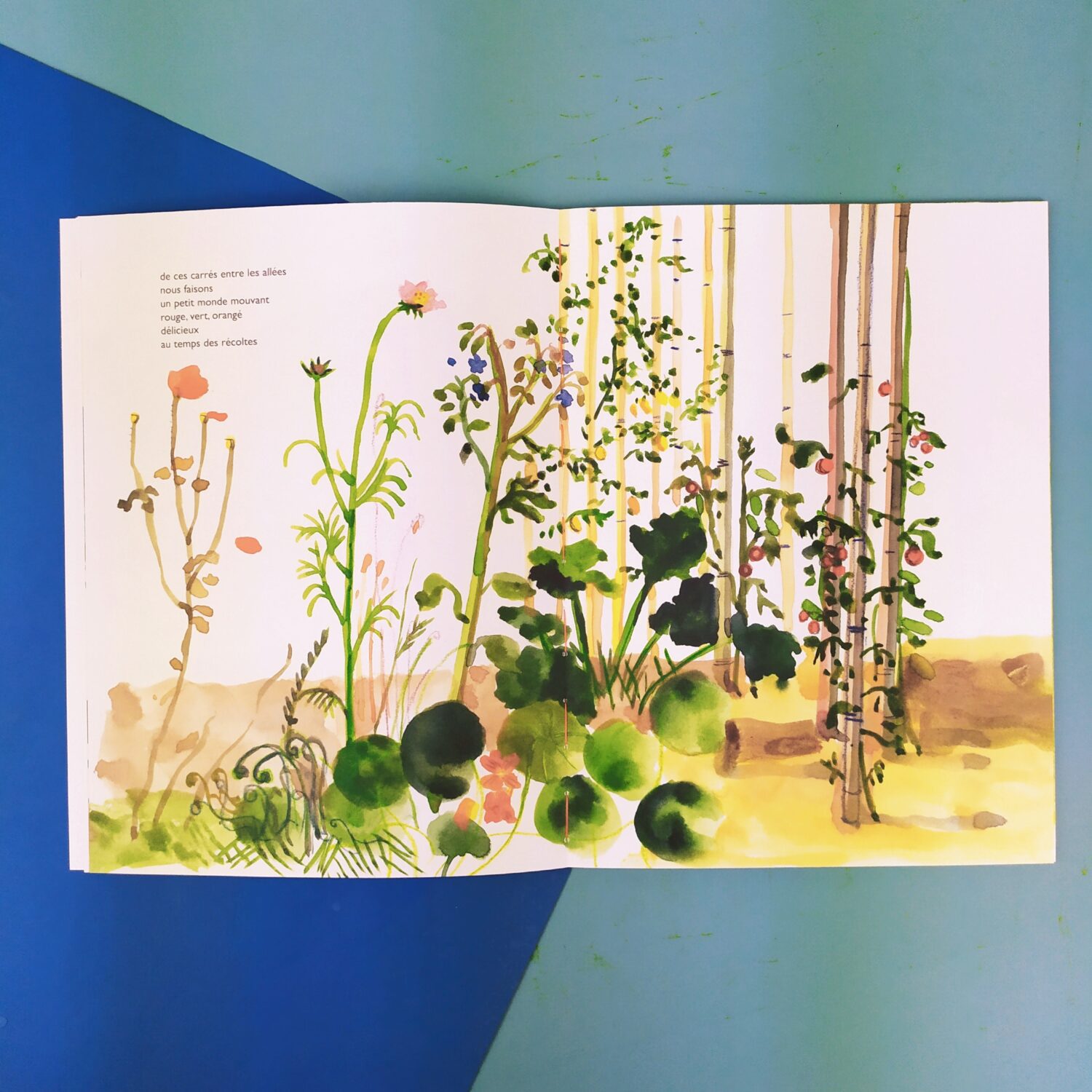 esquisses_pour_la_terre4