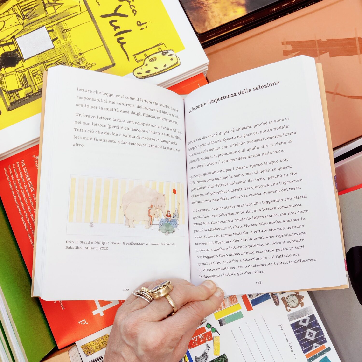 Attraverso_il_libro7