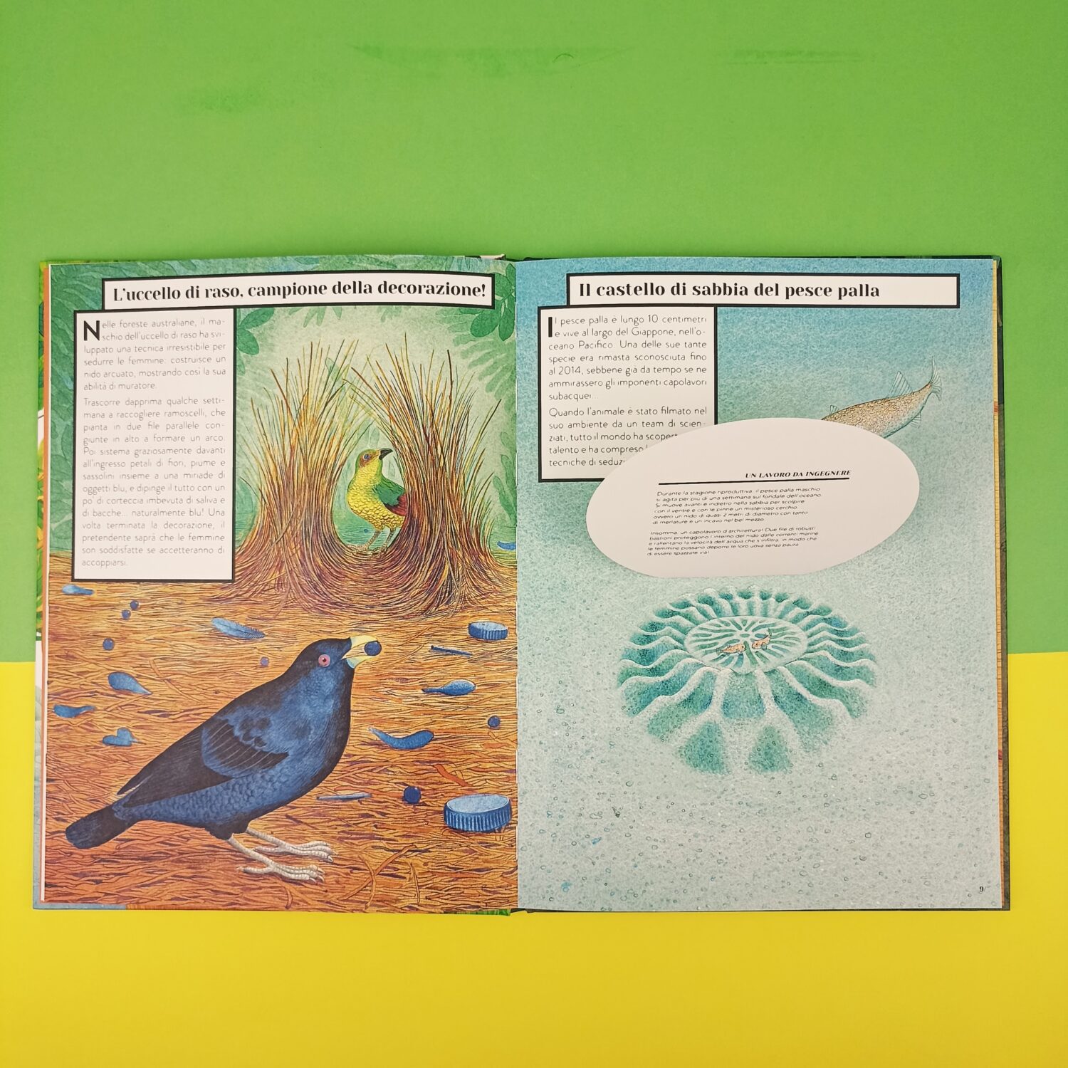 animali_tuttofare (3)