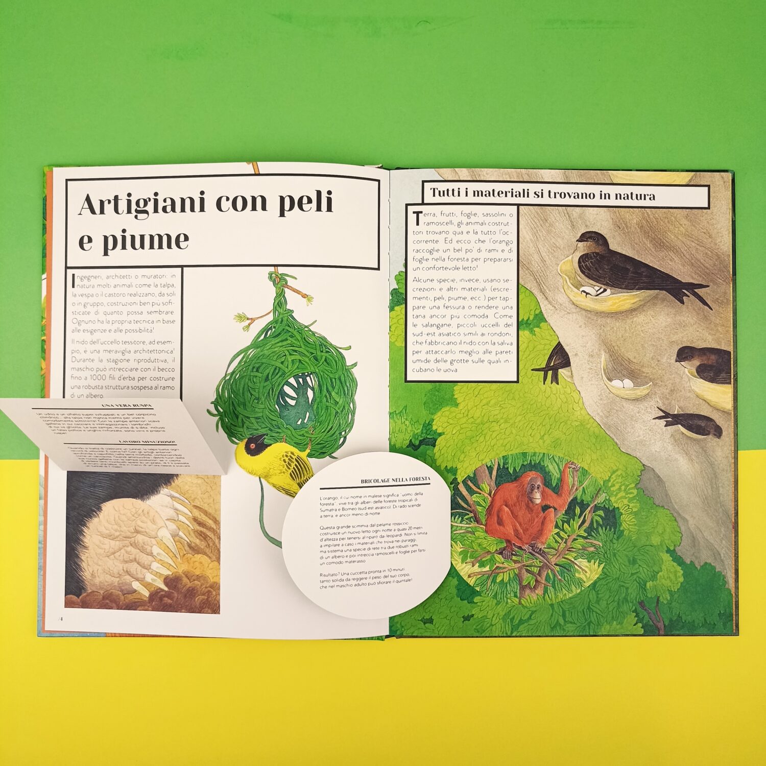 animali_tuttofare (4)
