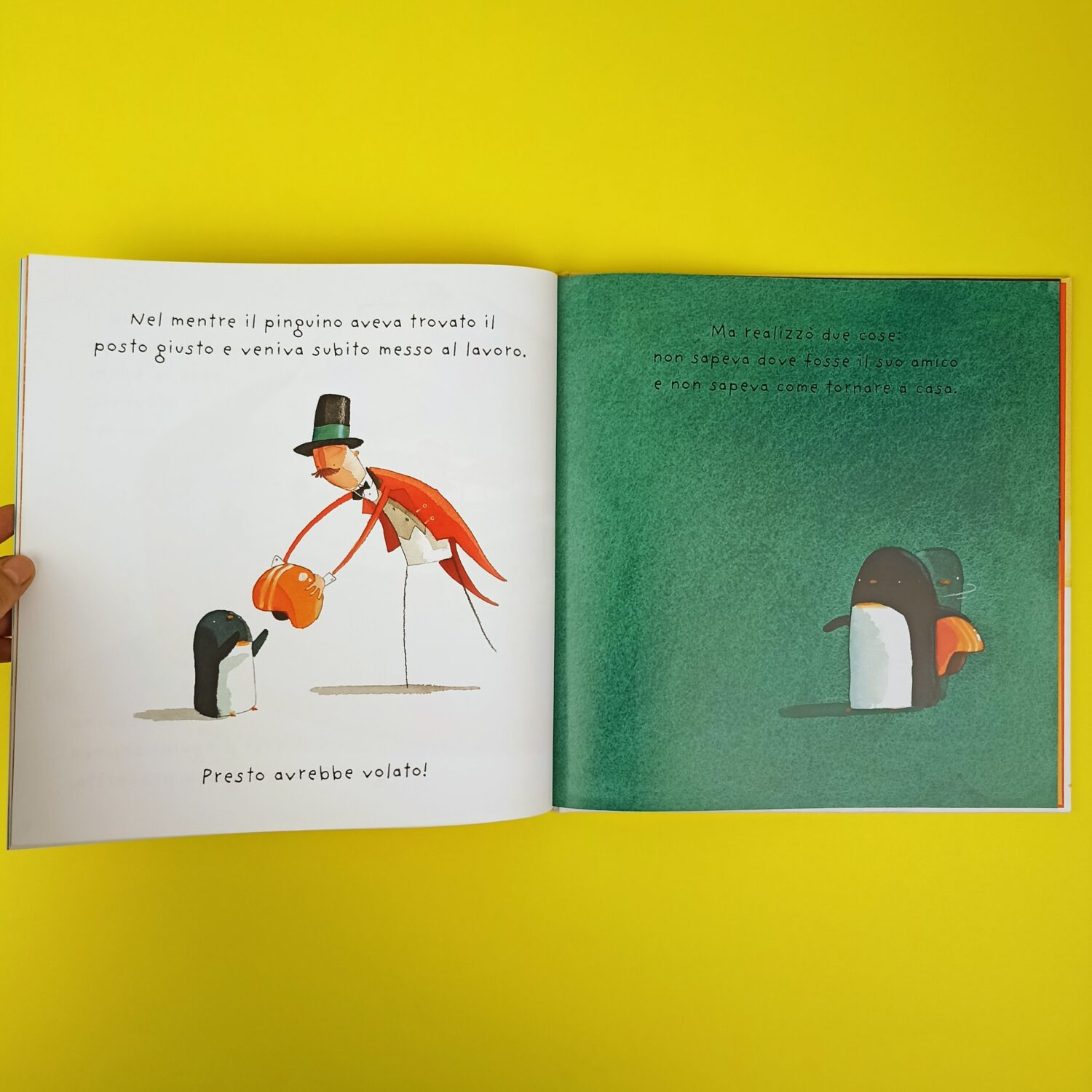 come_vola_un_pinguino (3)