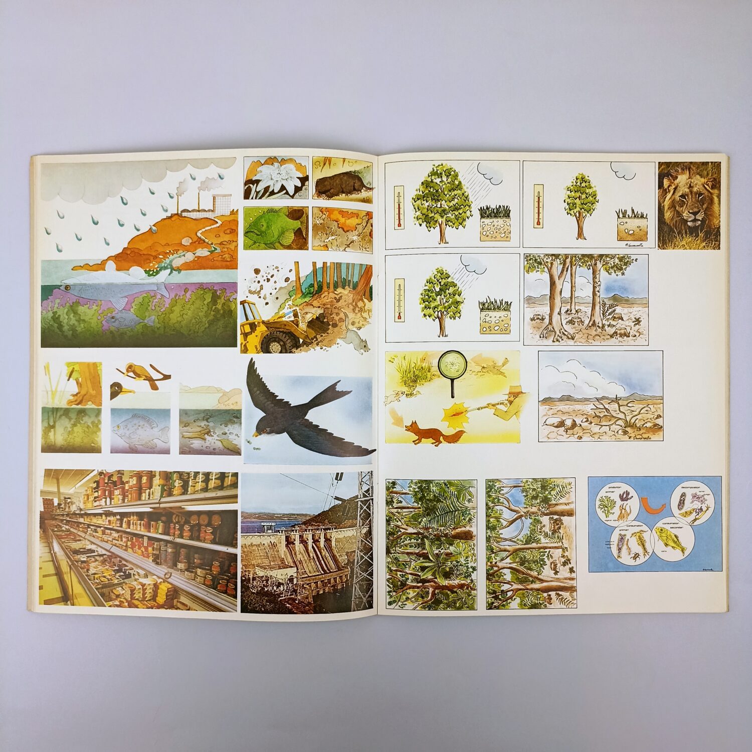 ecologia (2)