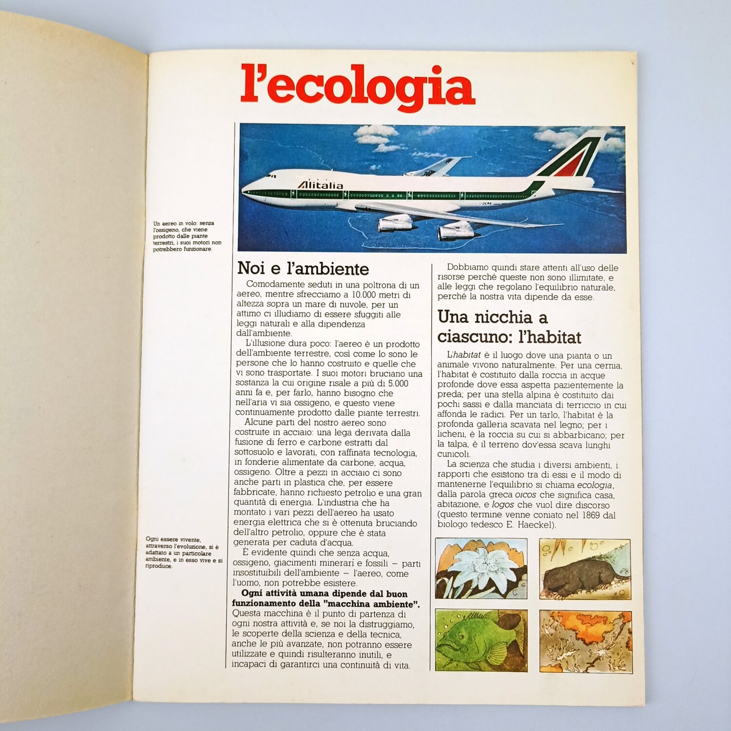 ecologia (4)