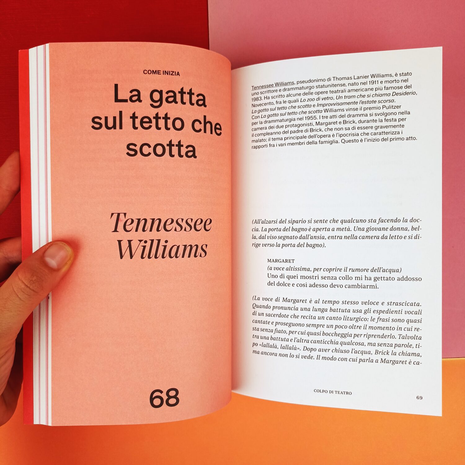 colpo_di_teatro (2)