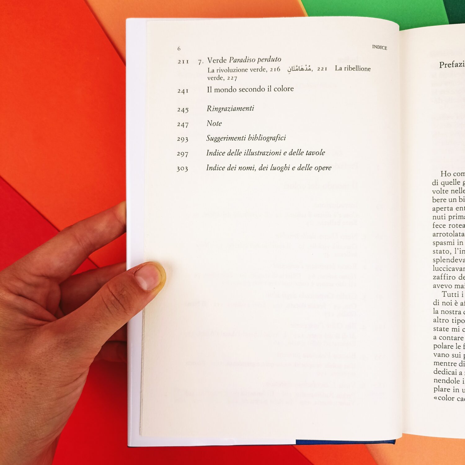 mondo_dei_colori (7)