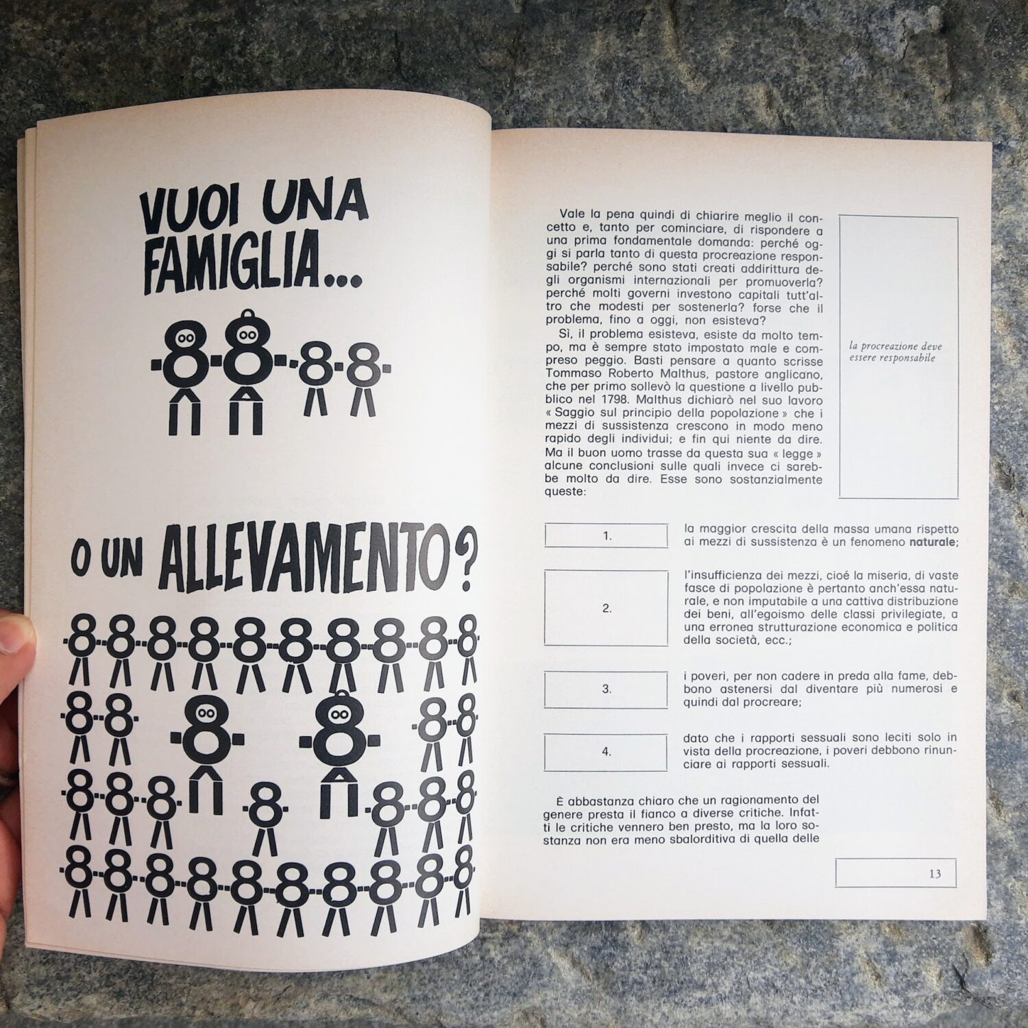Il_figlio_facoltativo_3