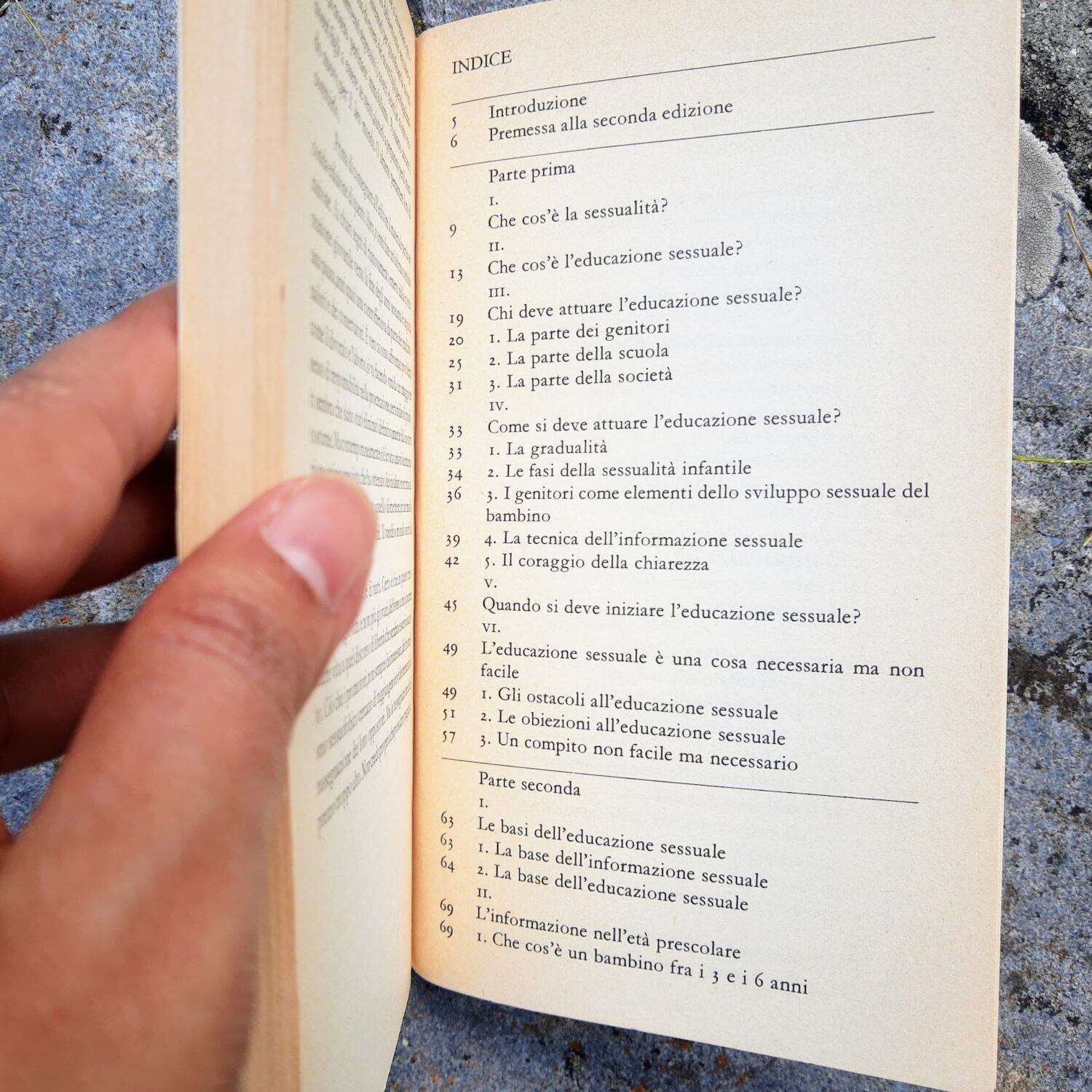 Il_problema_inventato_2