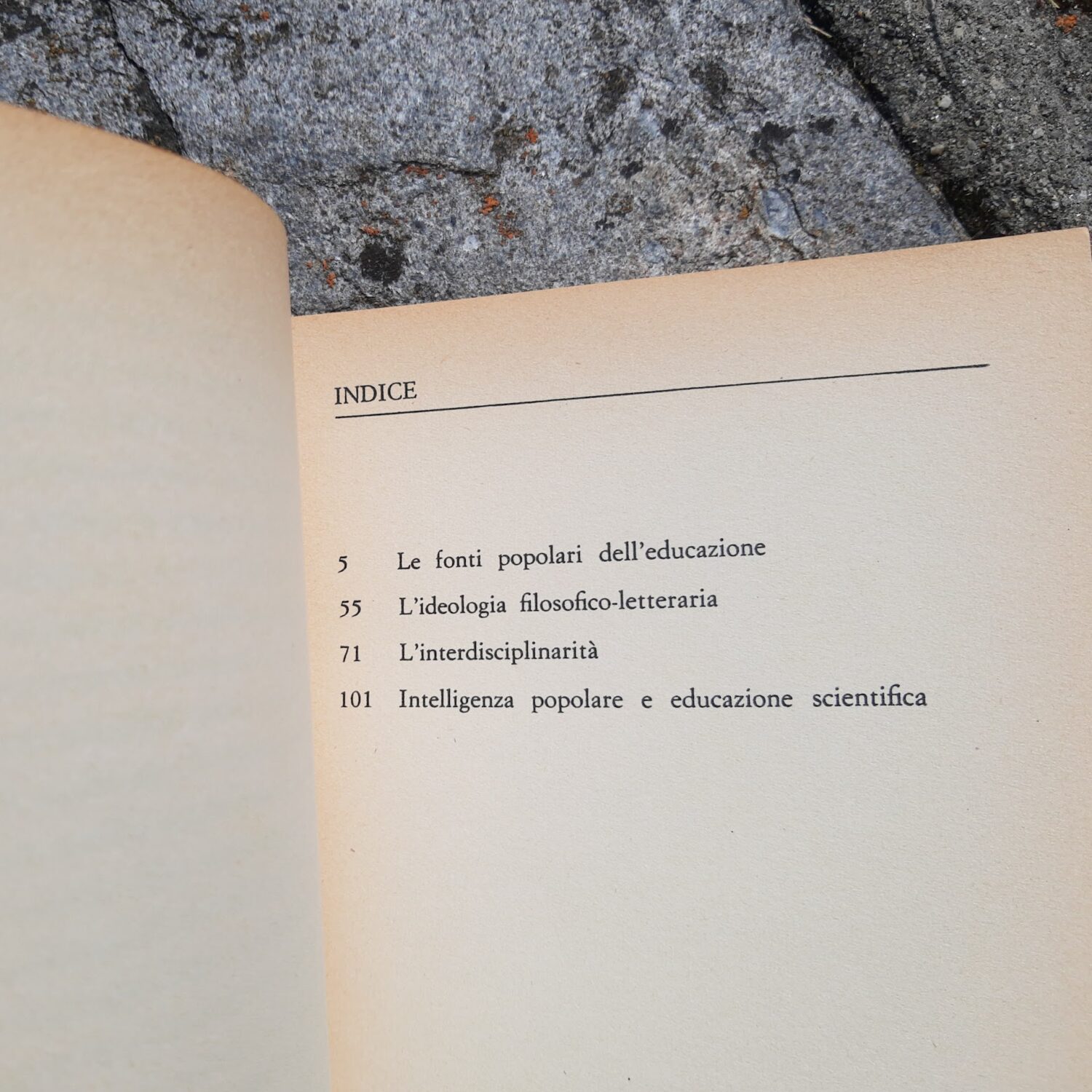 La_dimensione_sociale_del_sapere_2
