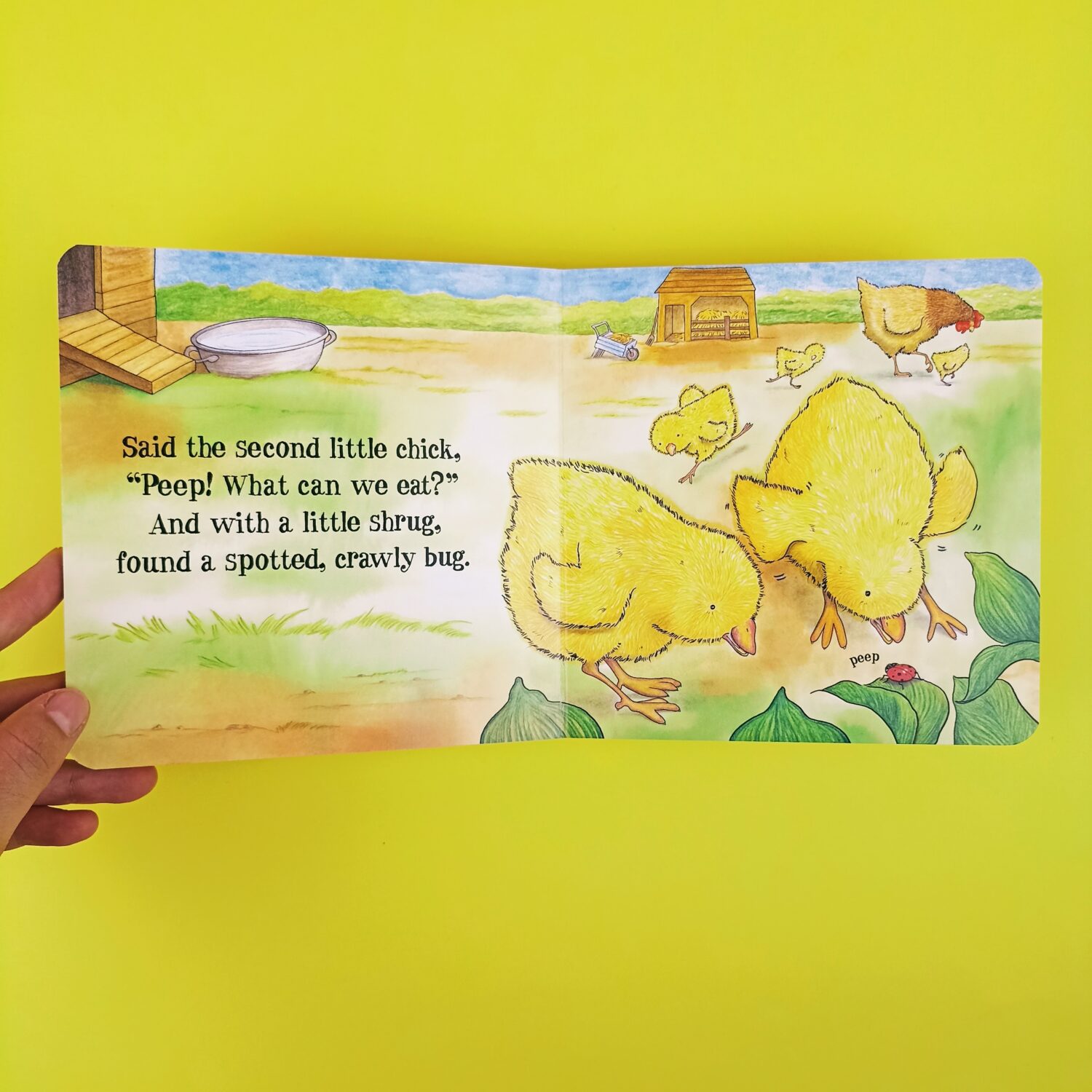 five_little_chicks (4)