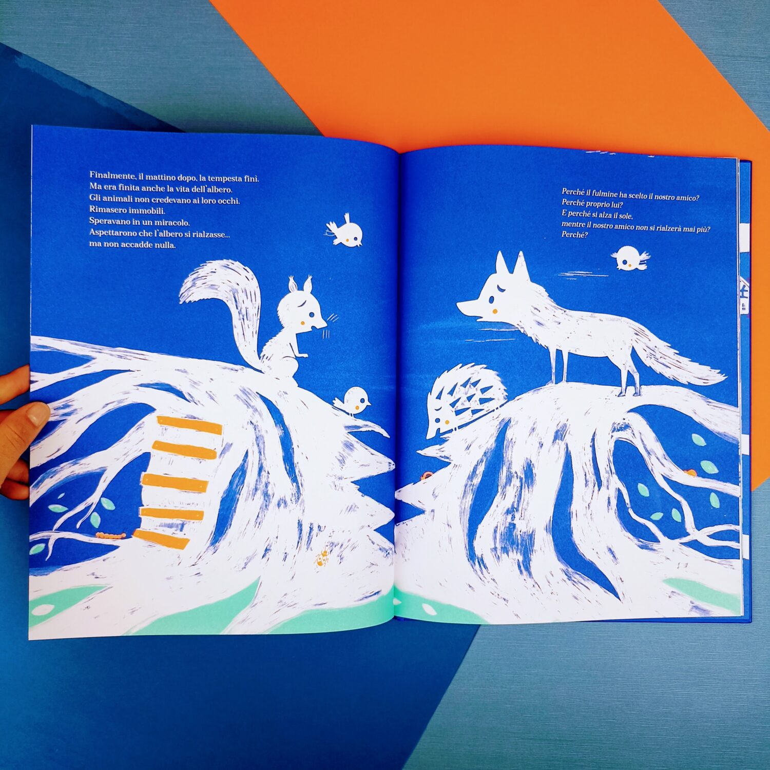 l’albero (4)