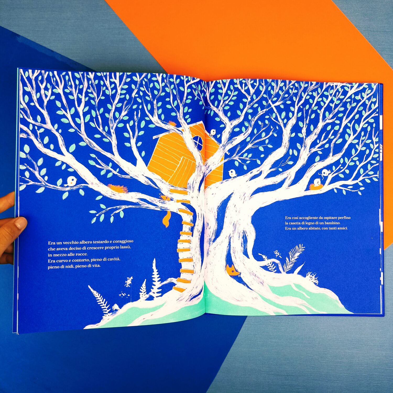 l’albero (5)