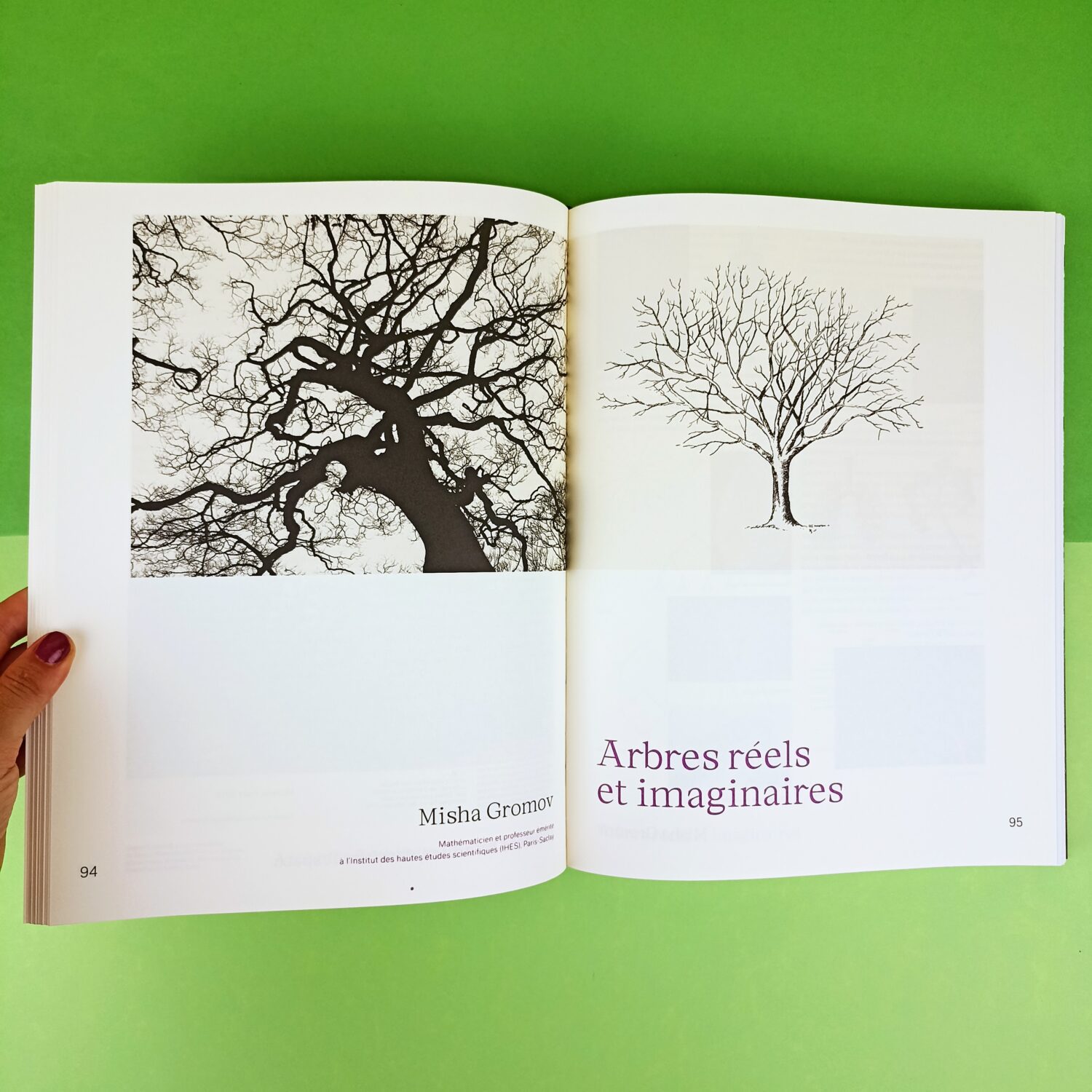nous_les_arbres (9)