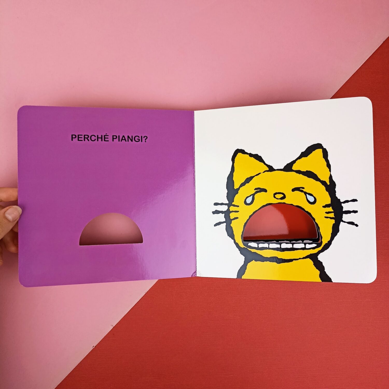 Perchè_piangi2