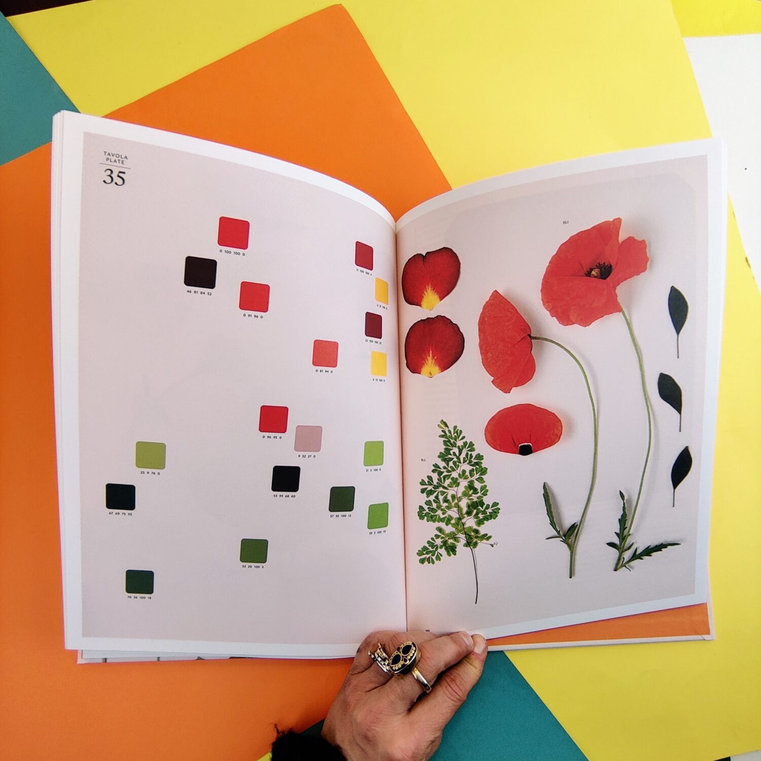 Chromatic_herbarium10