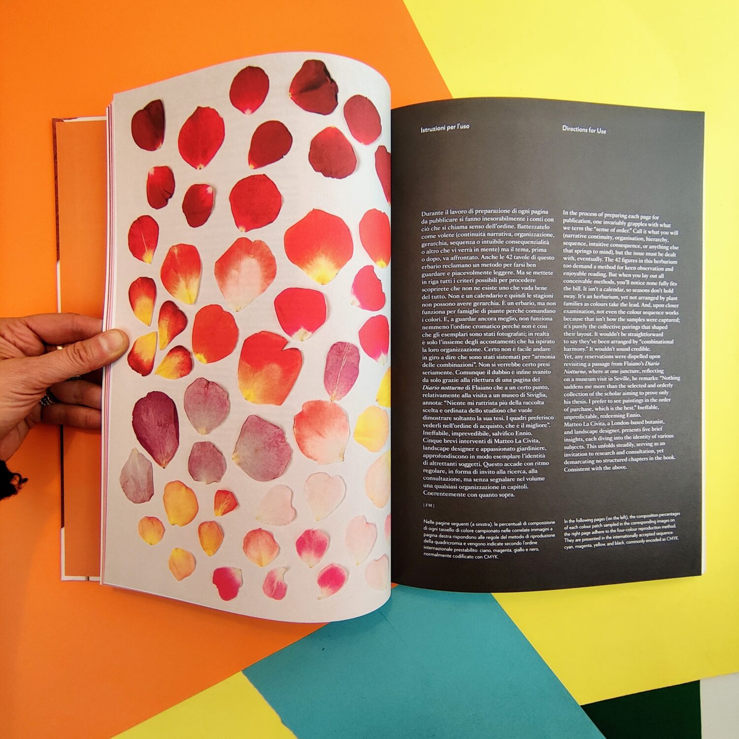 Chromatic_herbarium5