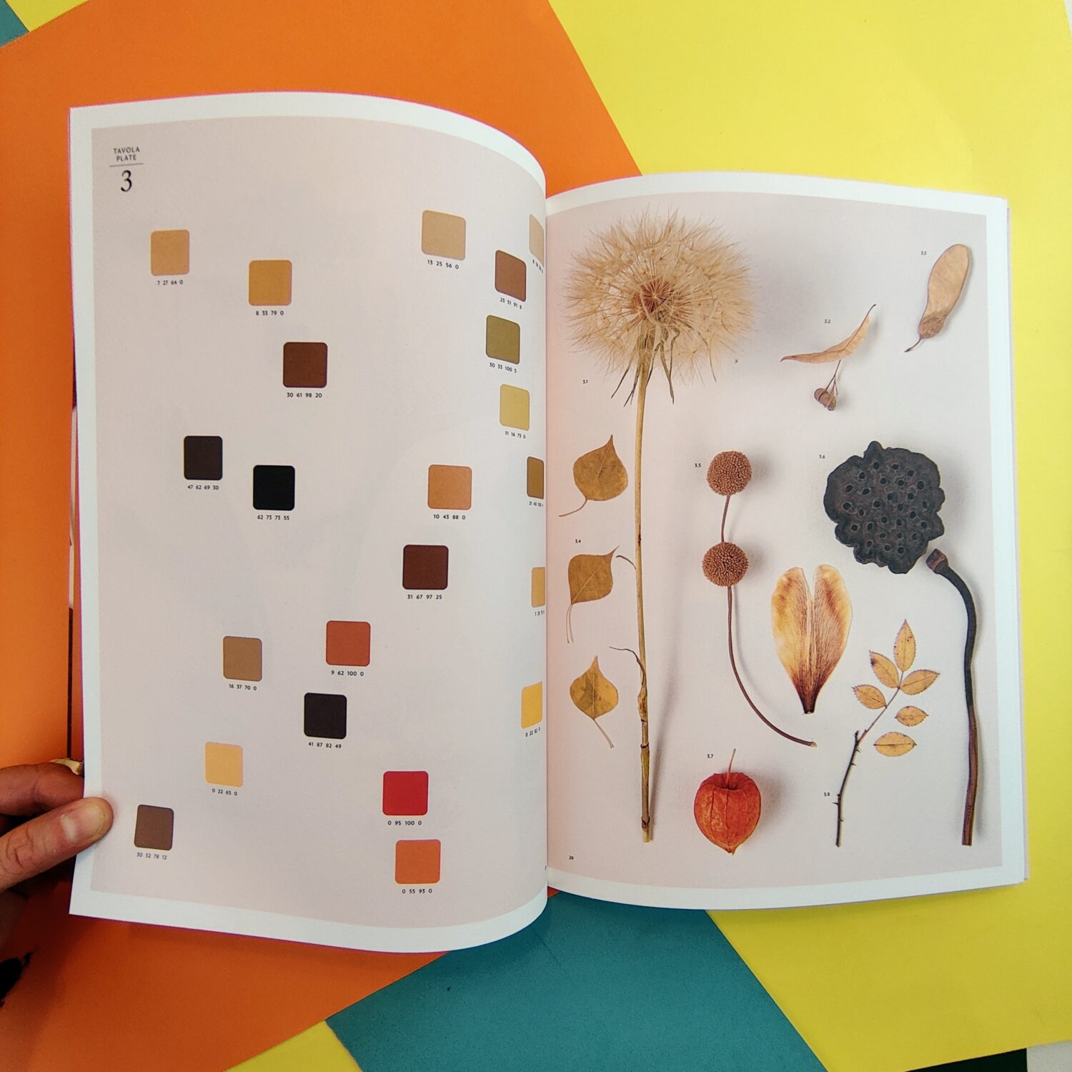 Chromatic_herbarium6