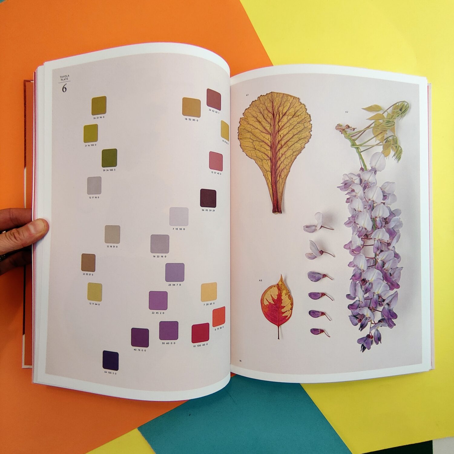 Chromatic_herbarium7