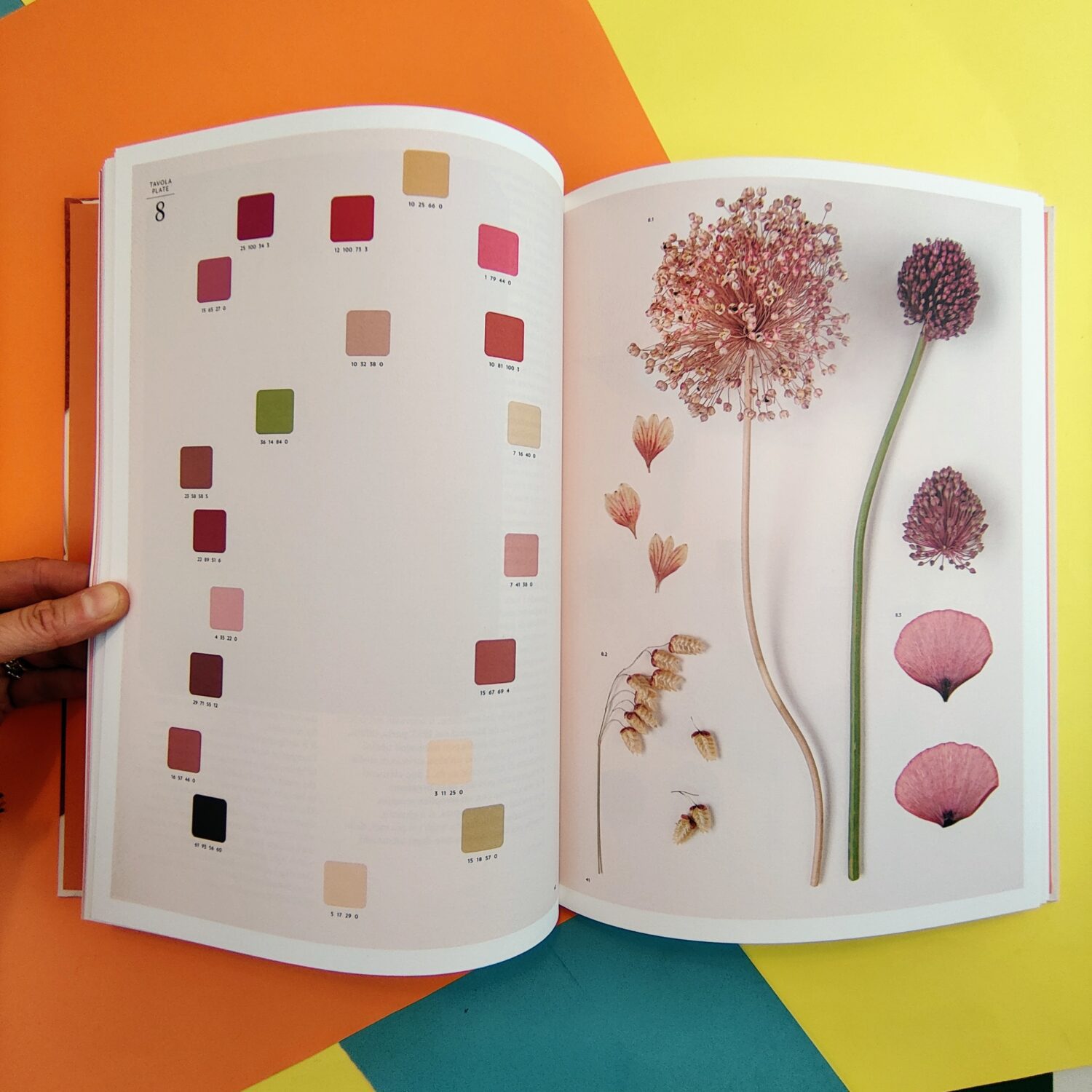 Chromatic_herbarium8