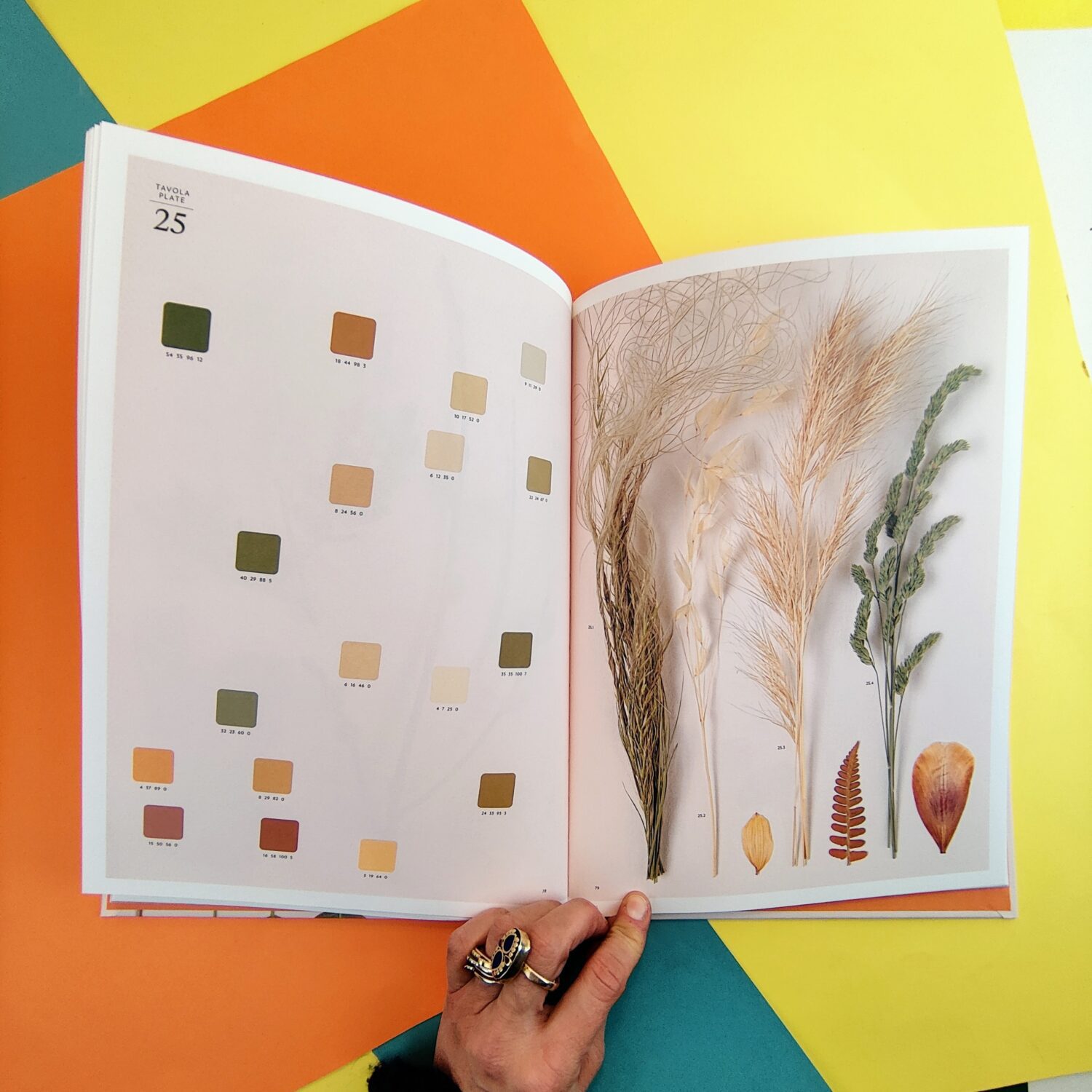 Chromatic_herbarium9