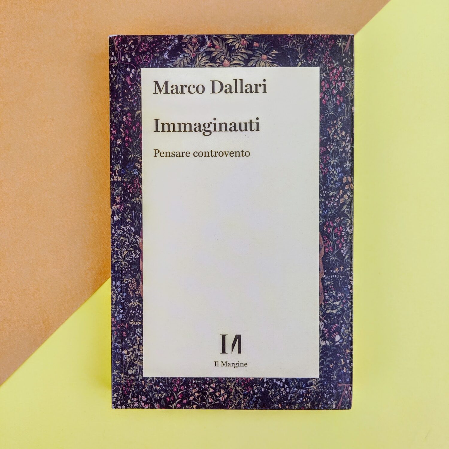 Immaginauti1
