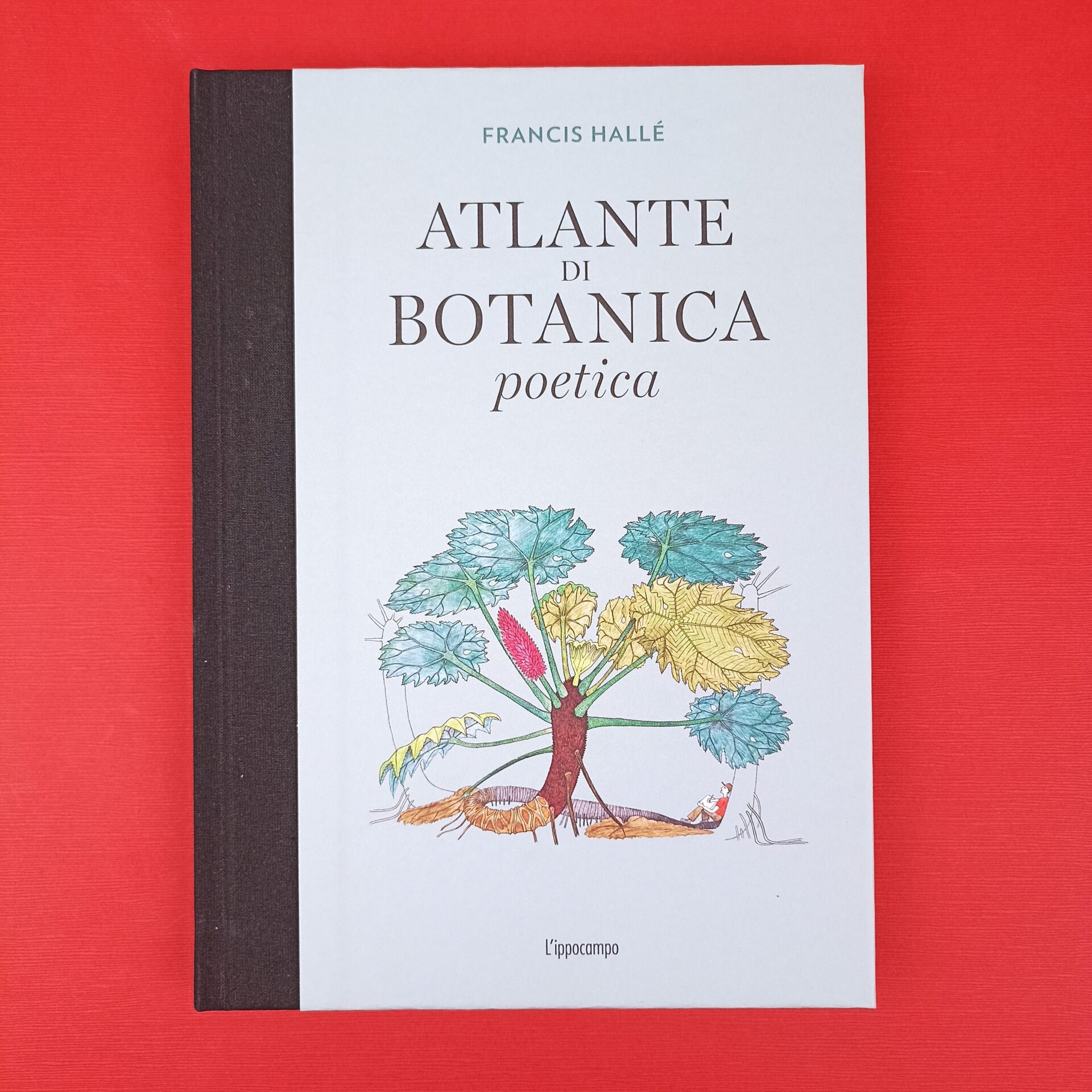 Atlante di botanica poetica MpiovegneK