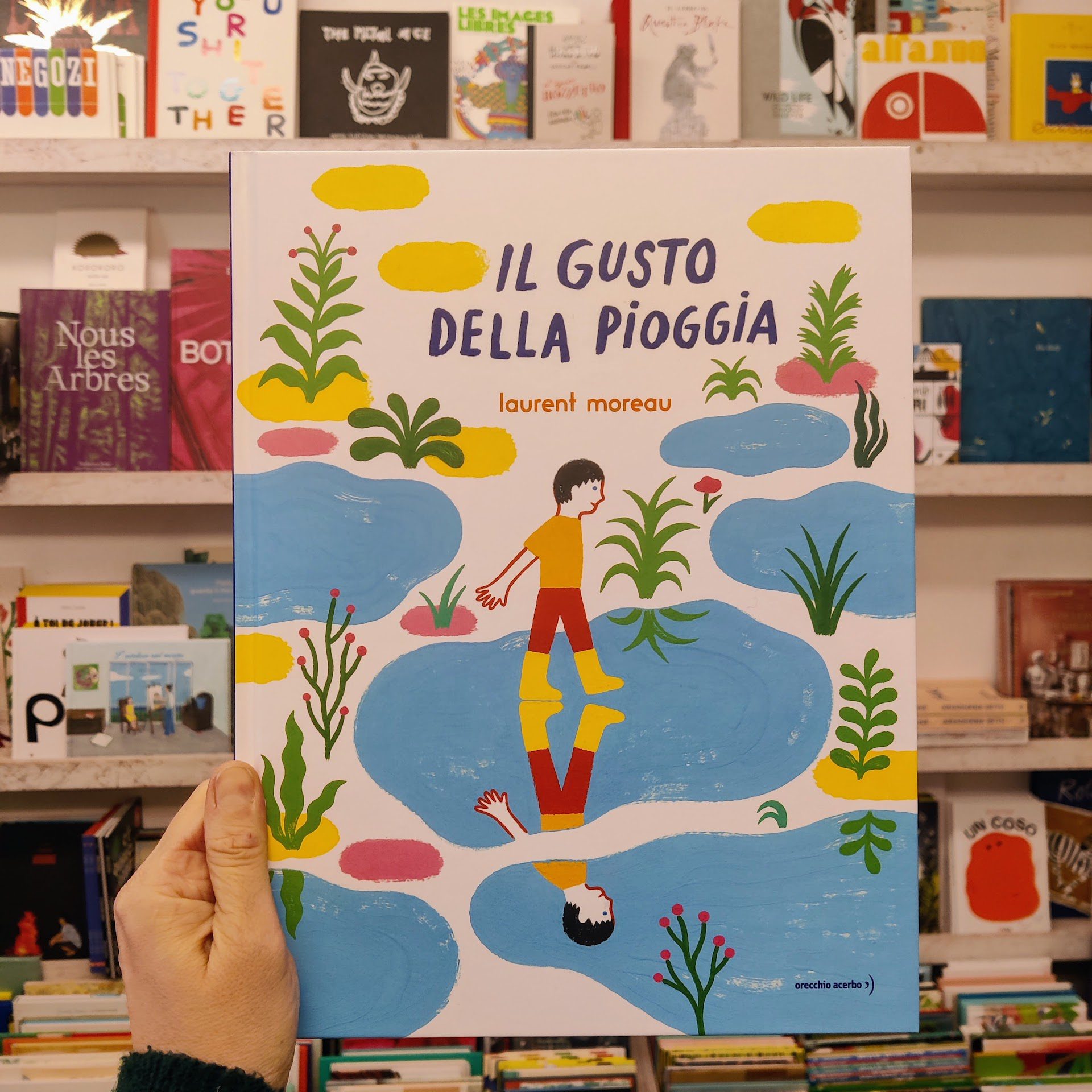 Il gusto della pioggia voEpAZizdr