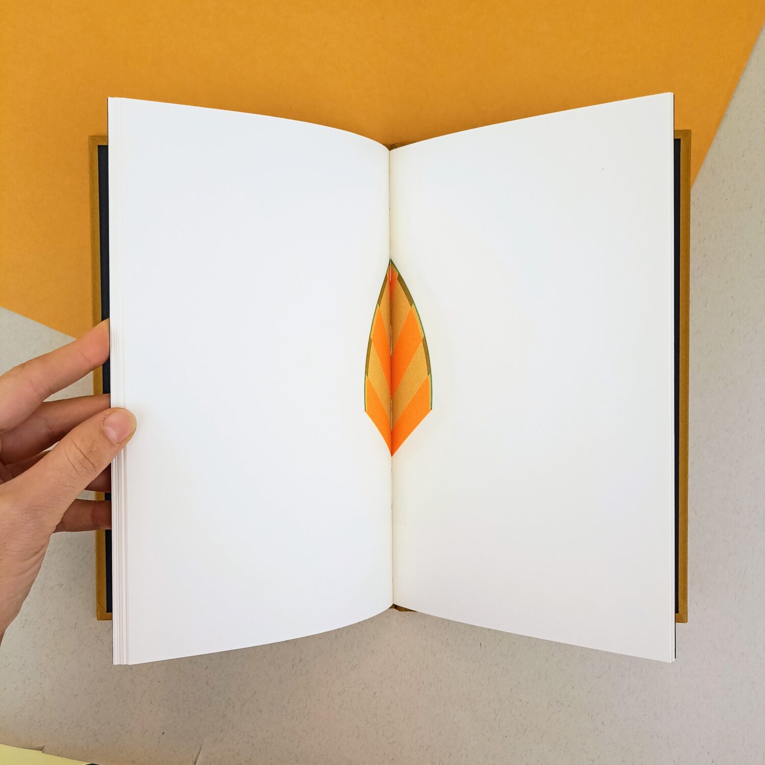 livre_magique1 (3)