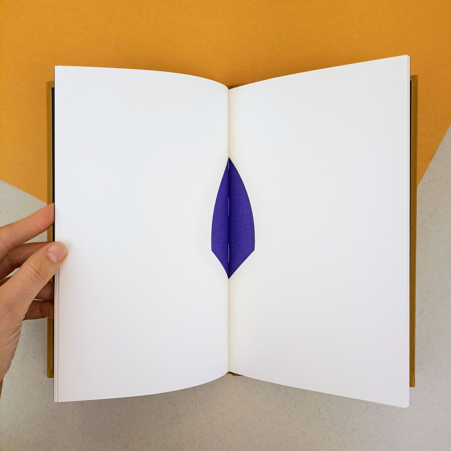 livre_magique1 (4)