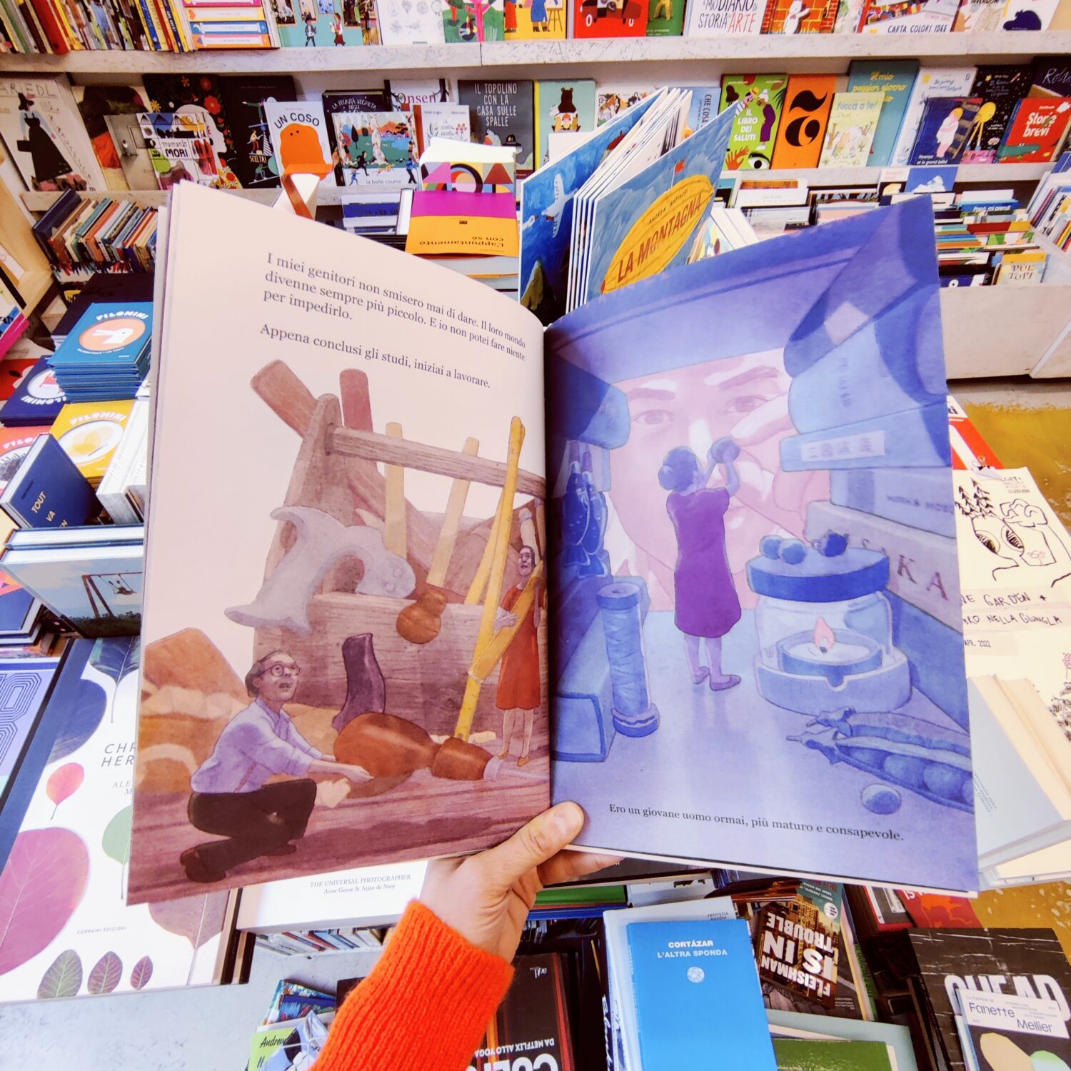 piccoli_genitori (6)