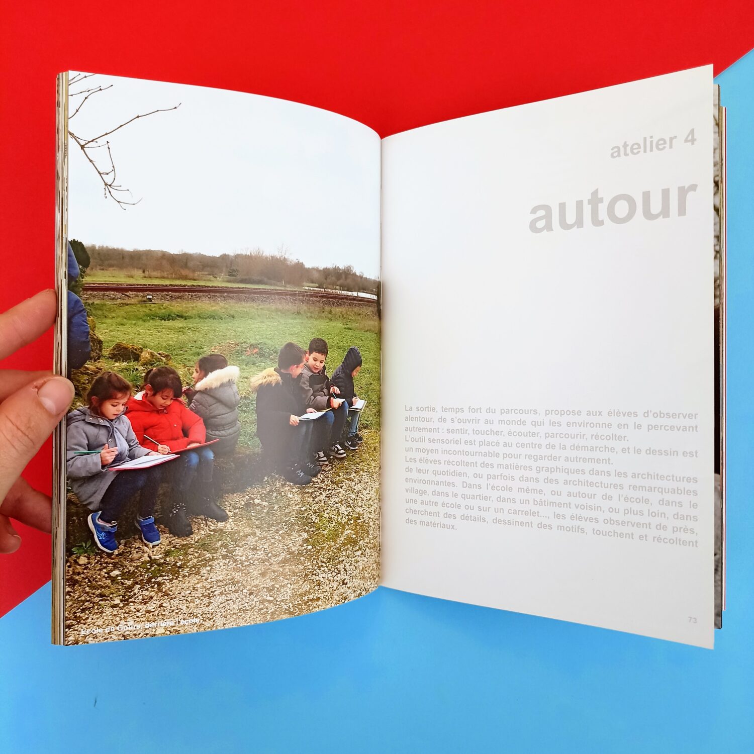 autour (4)