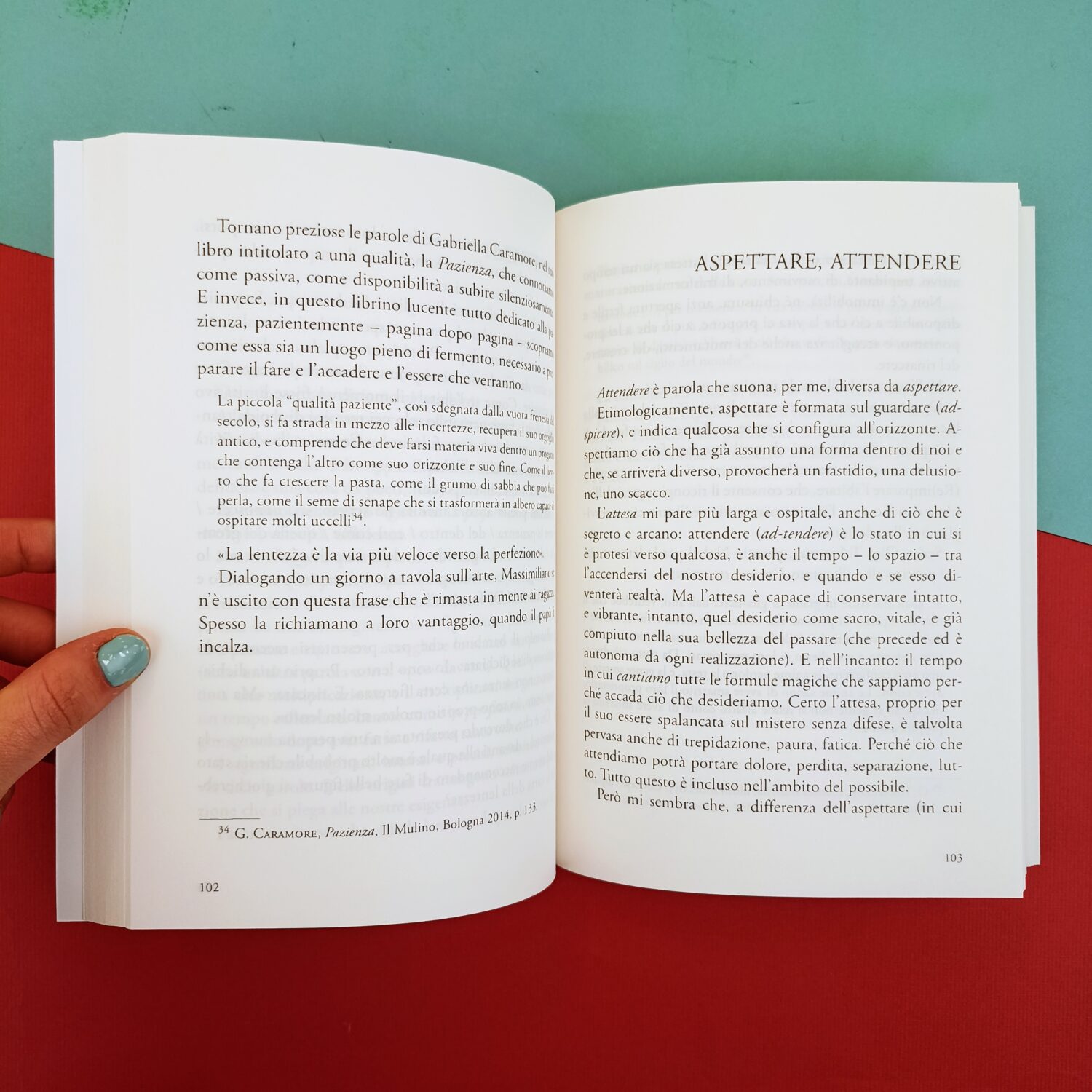 cura_delle_parole (2)