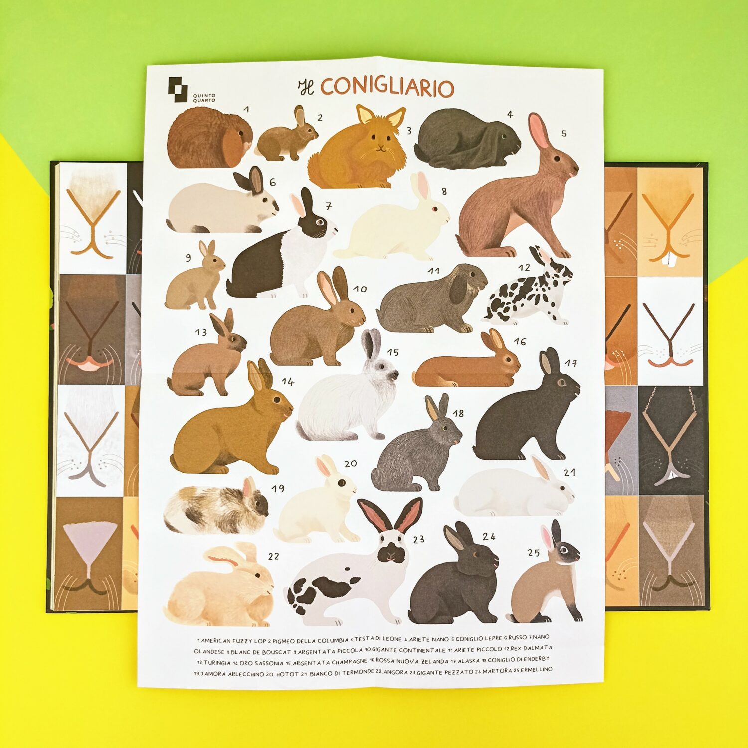 il_conigliario_4