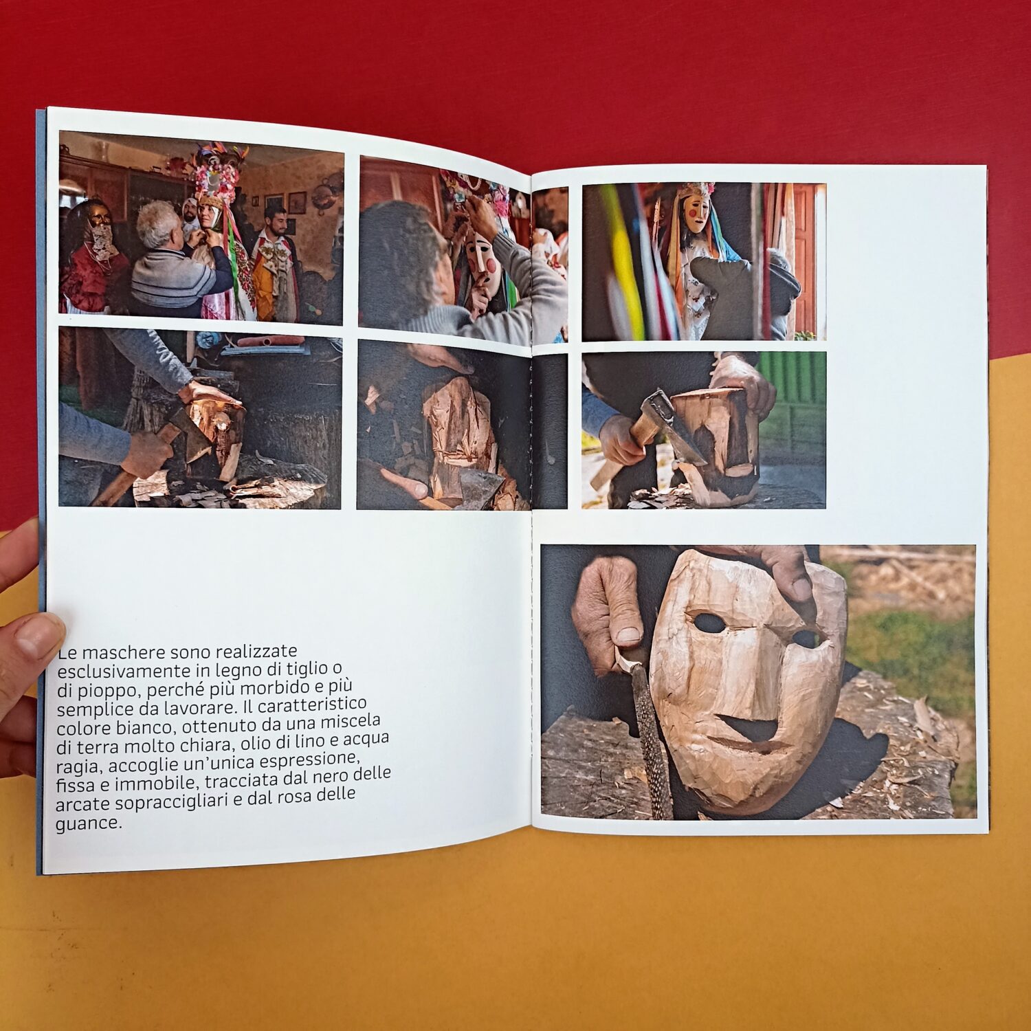 festa_dei_semplici_carretto (5)