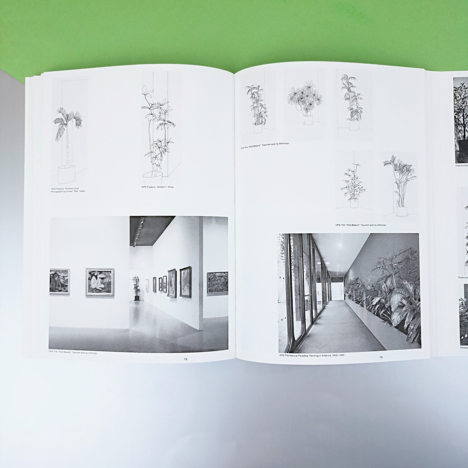 moma_plant_collection (3)