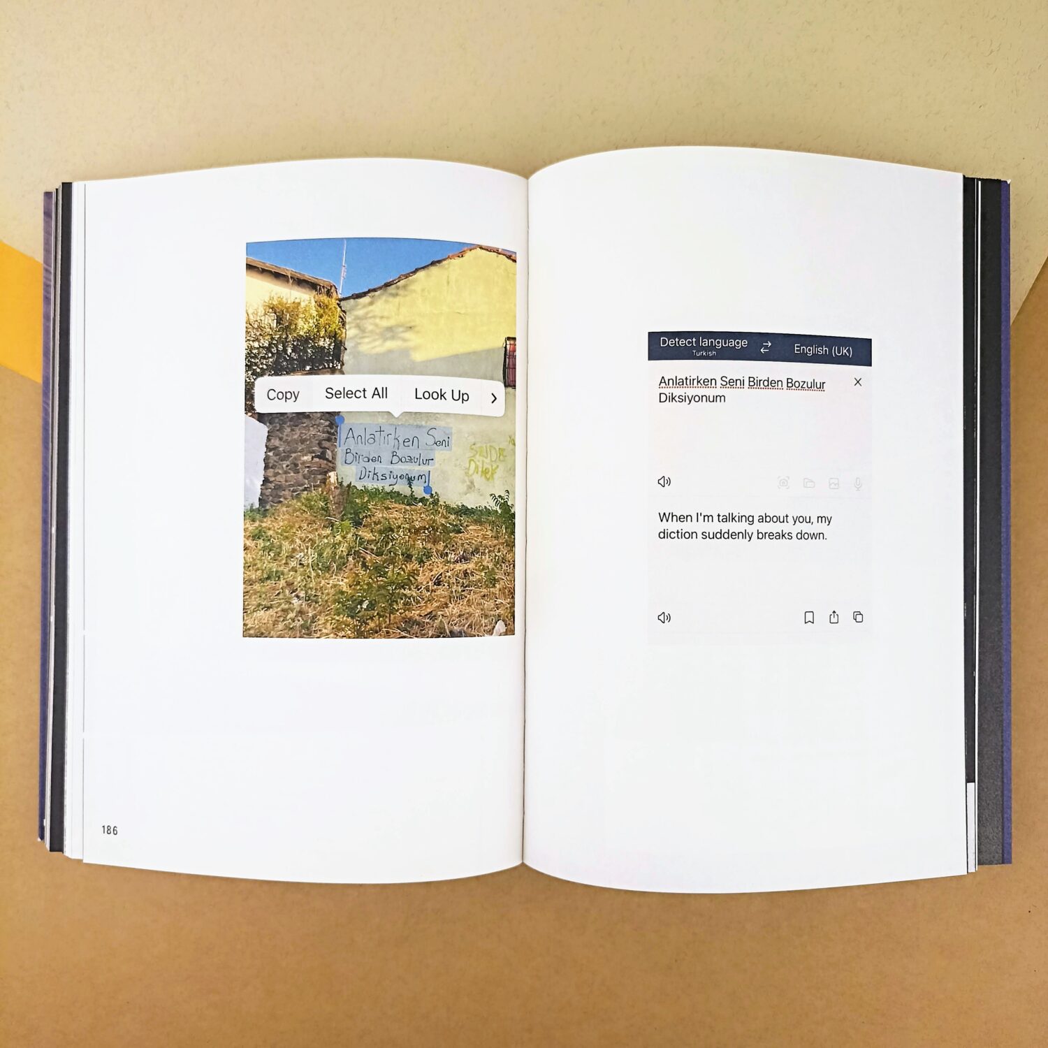 borderline_visible (4)